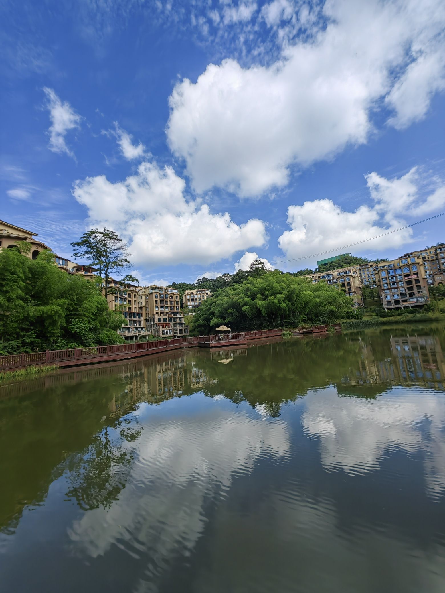 天鹅堡森林公园旅行图片 3