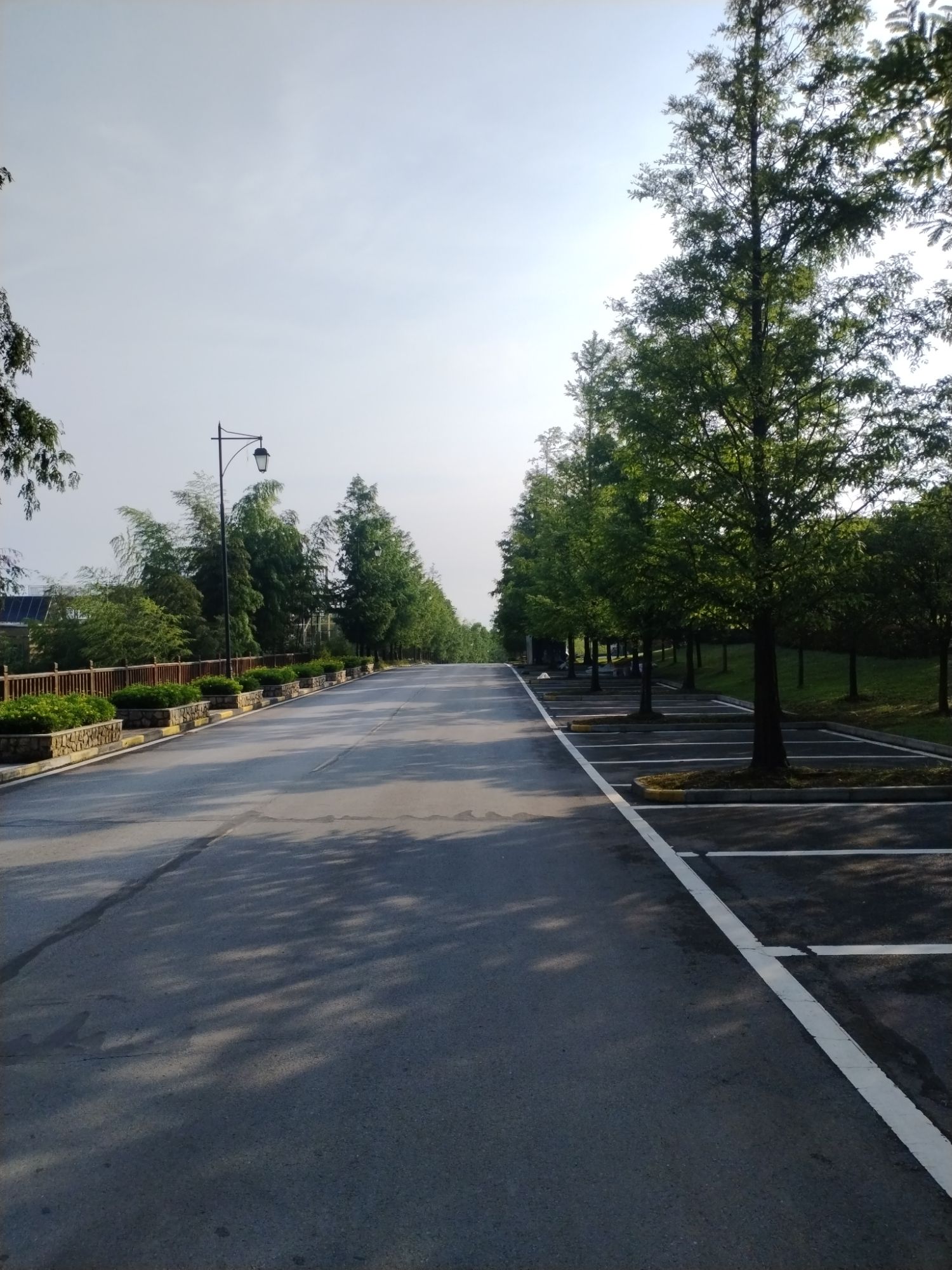 天鹅堡森林公园旅行图片 2