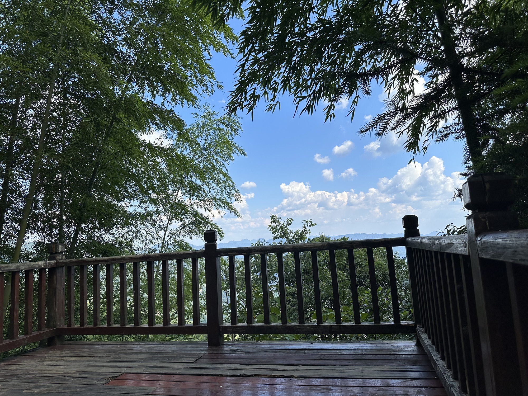 天鹅堡森林公园旅行图片 3