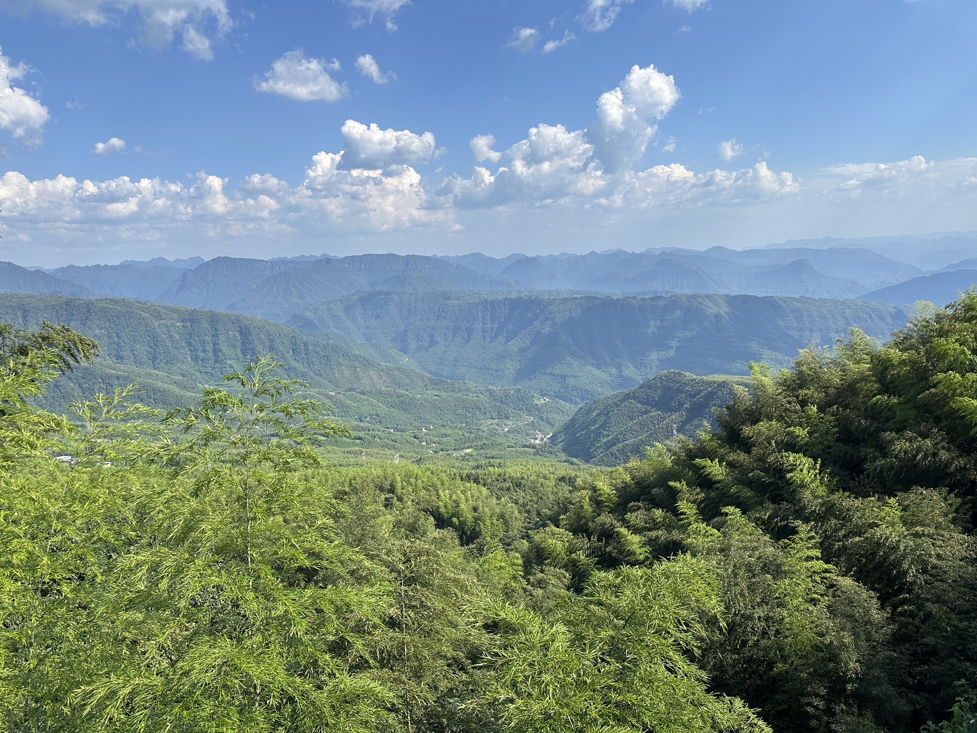 天鹅堡森林公园旅行图片 2