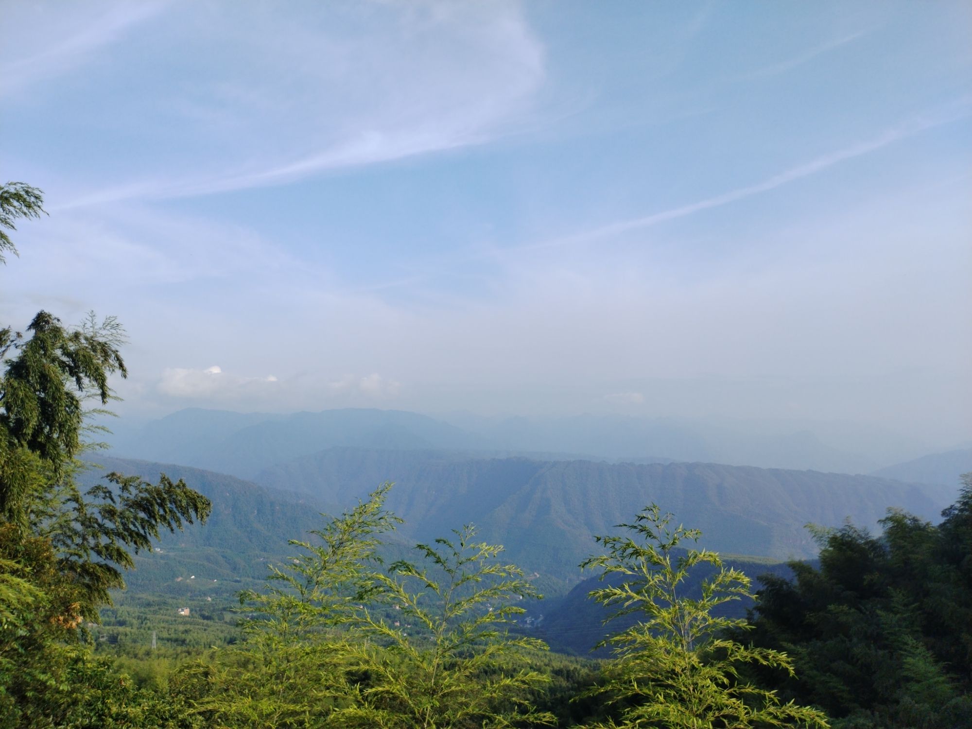 天鹅堡森林公园旅行图片 3
