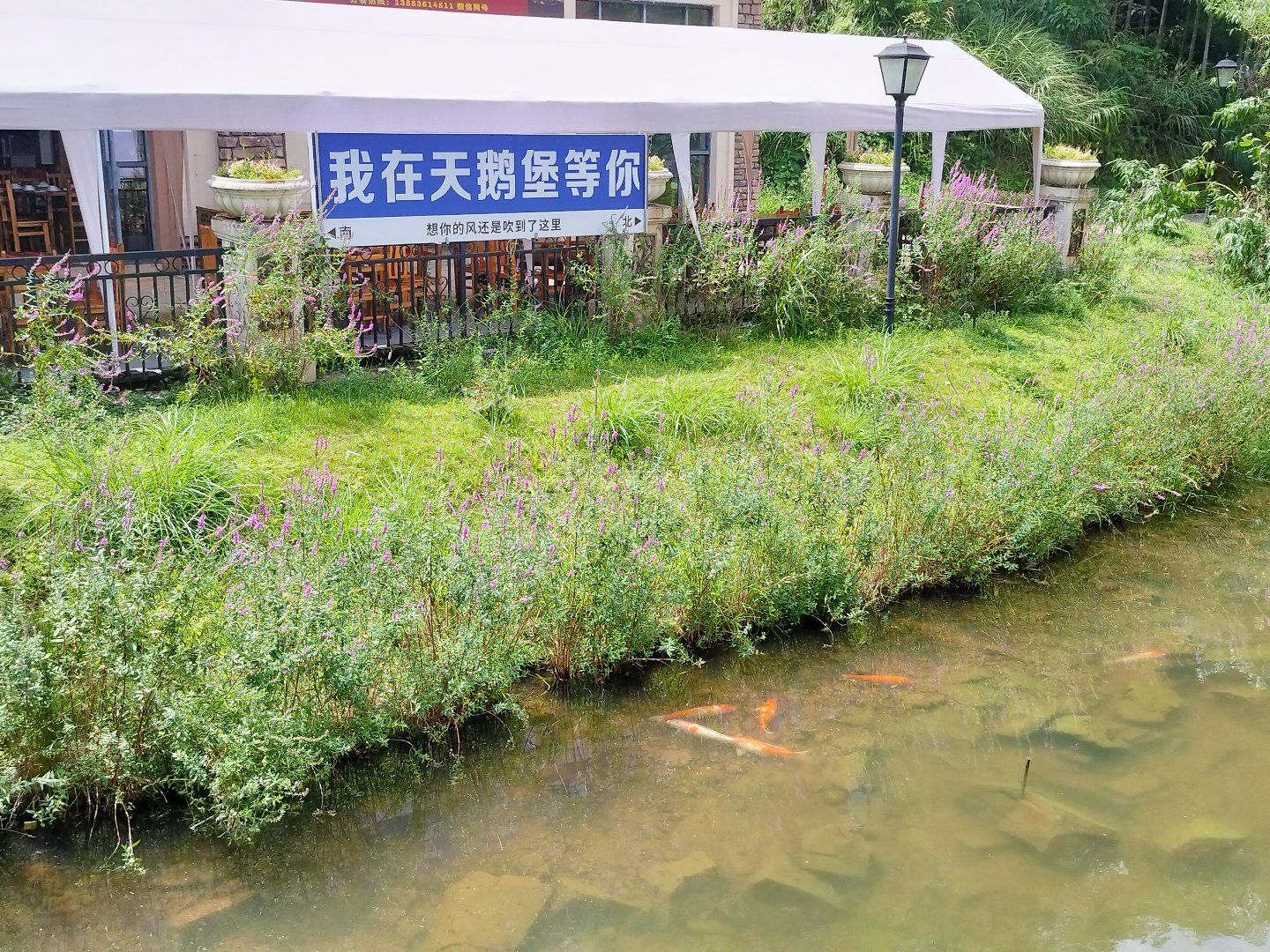 天鹅堡森林公园景点图片