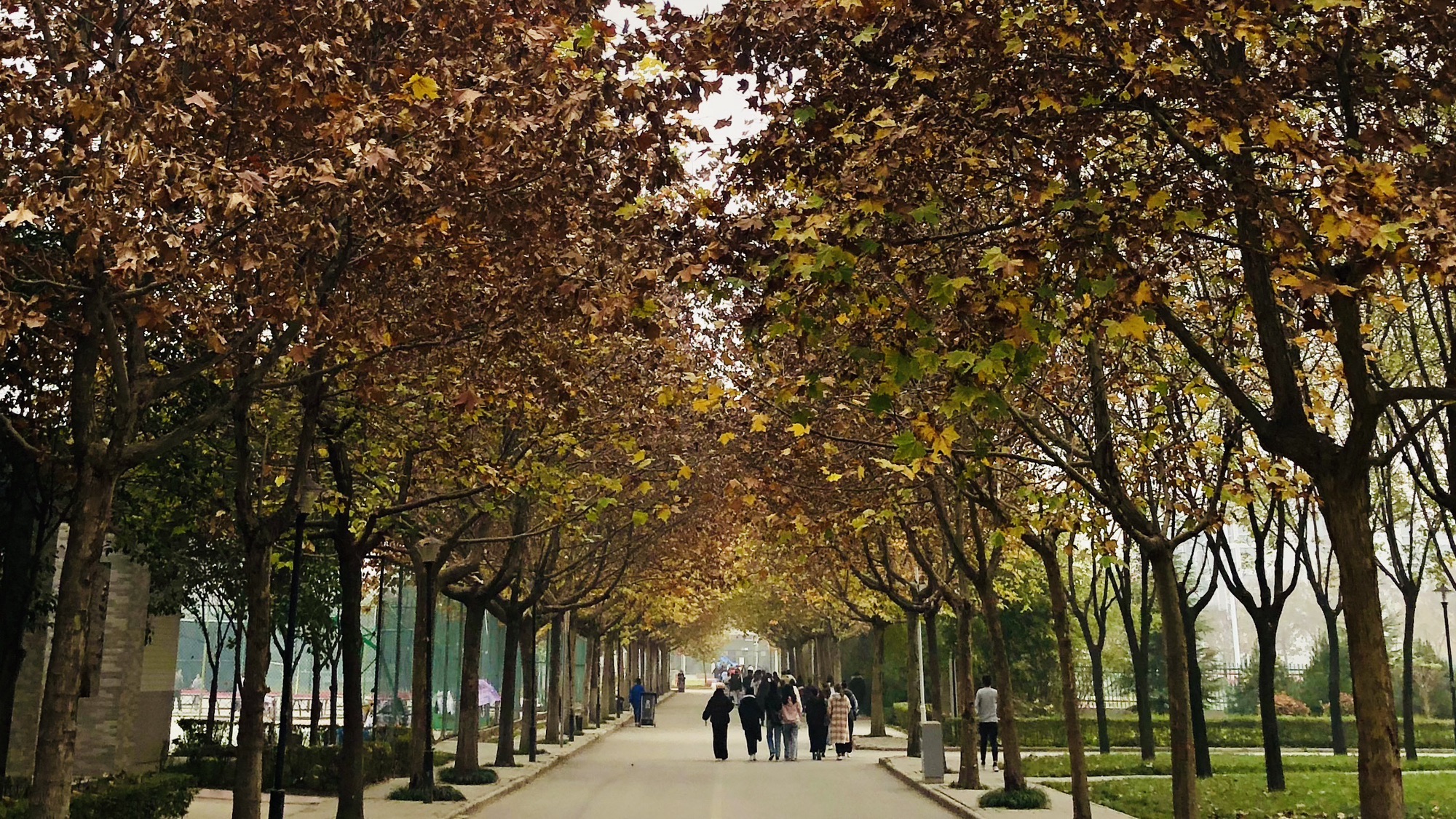 西安科技大学高新学院