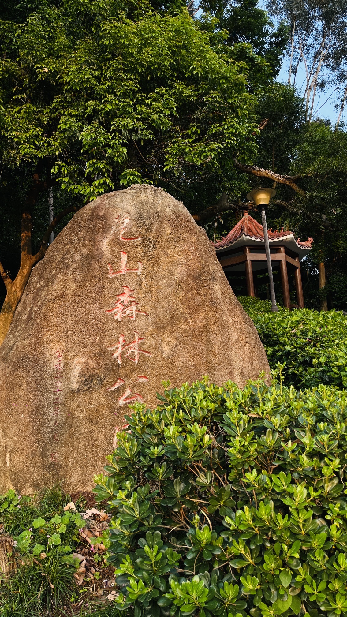 兑山森林公园旅行图片 2