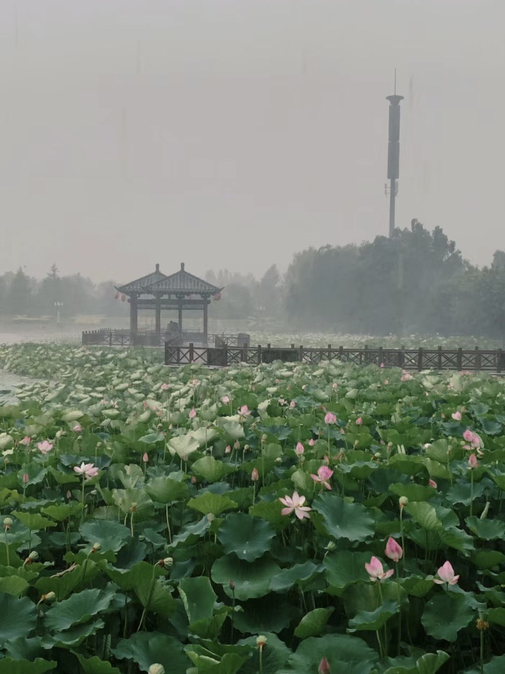 晋都公园旅行图片 1