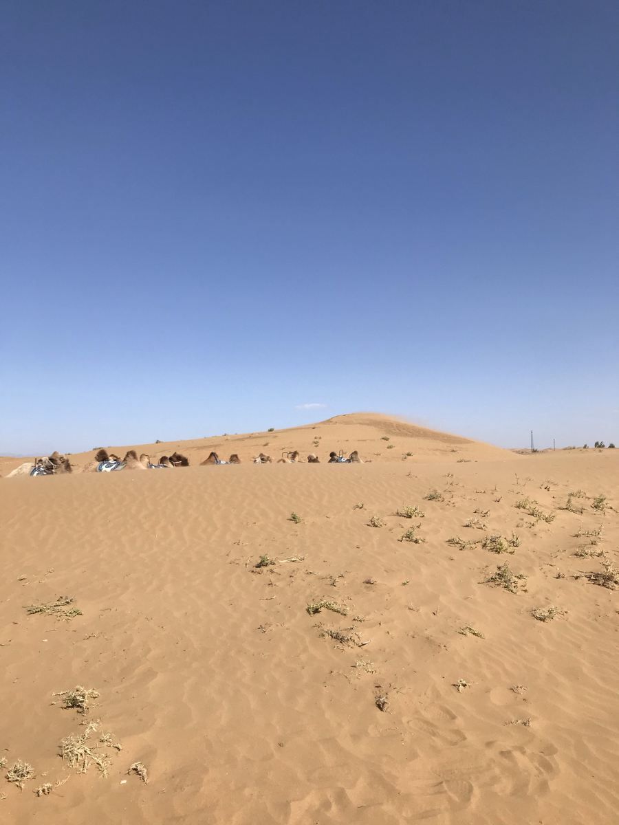 夜鸣沙旅游区旅行图片 1