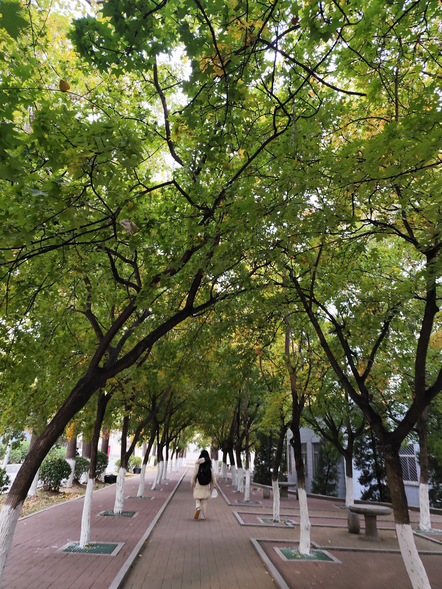 济南大学舜耕校区