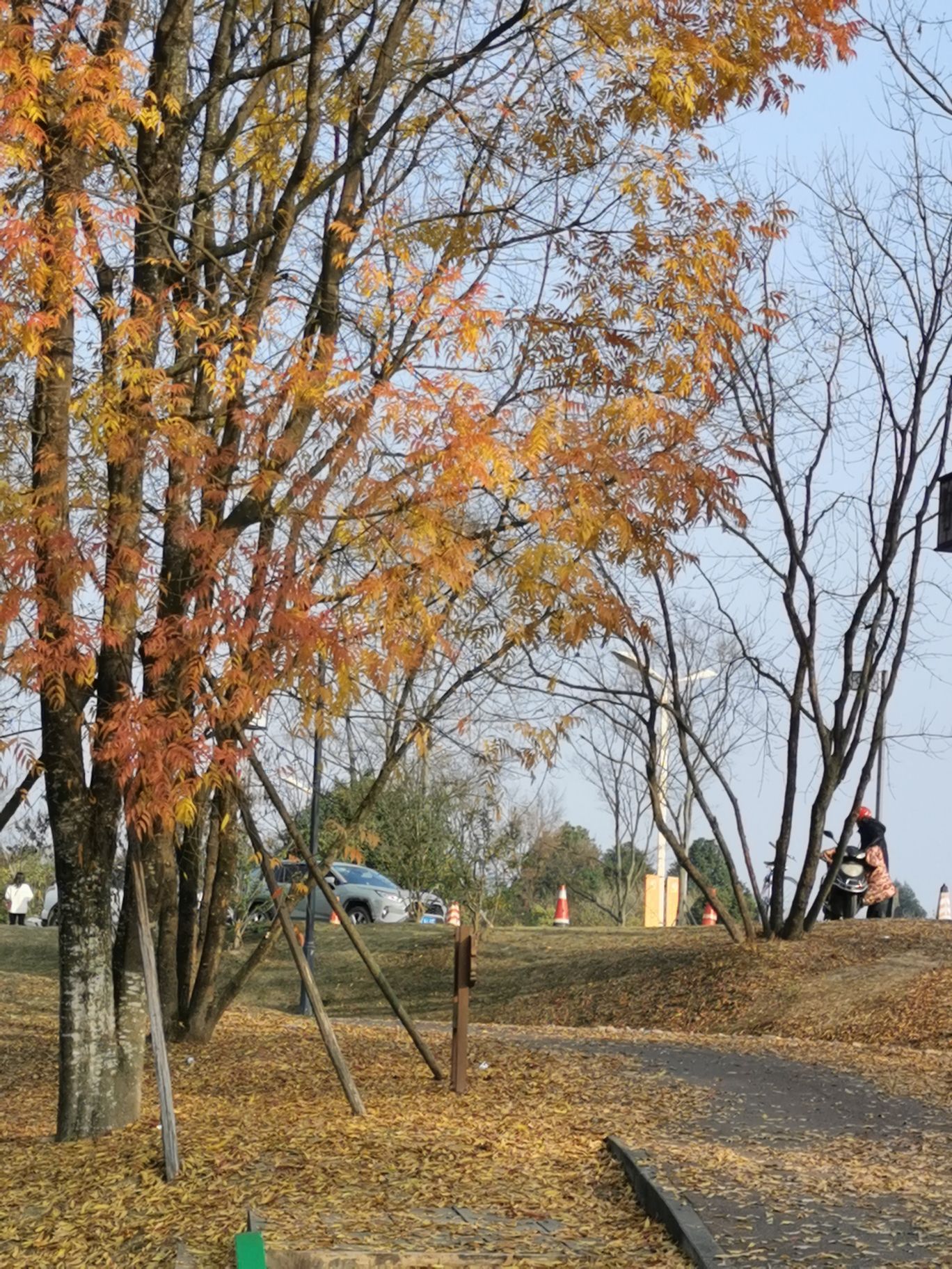 滨江公园旅行图片 3