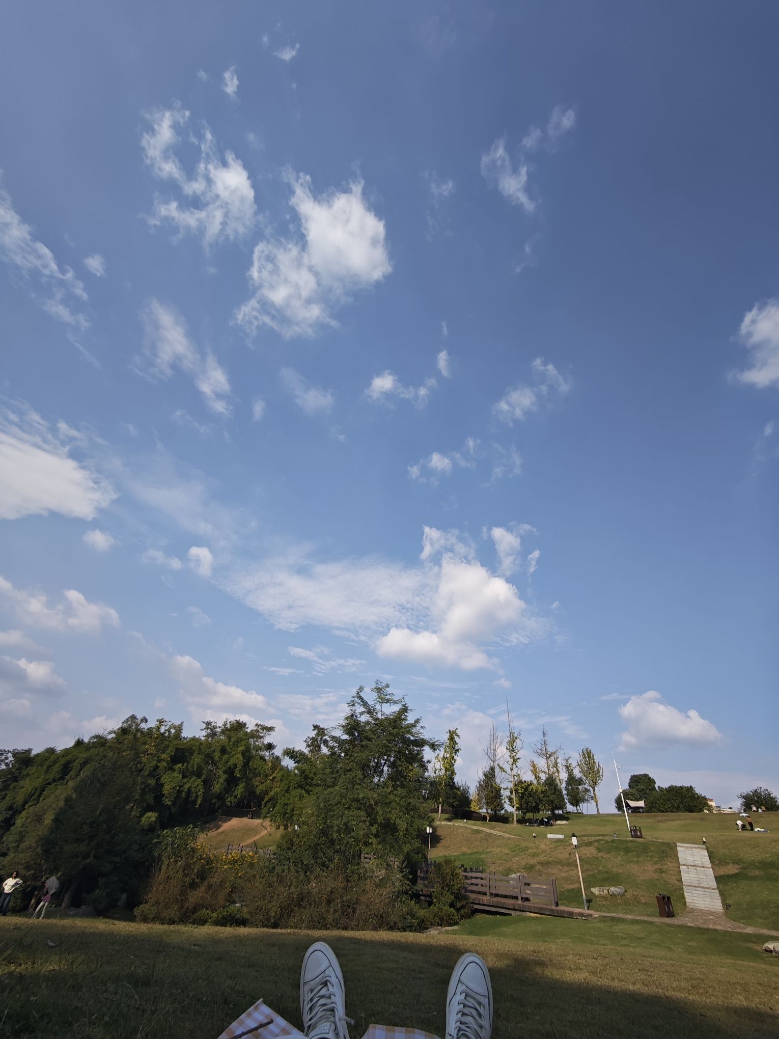 滨江公园旅行图片 1