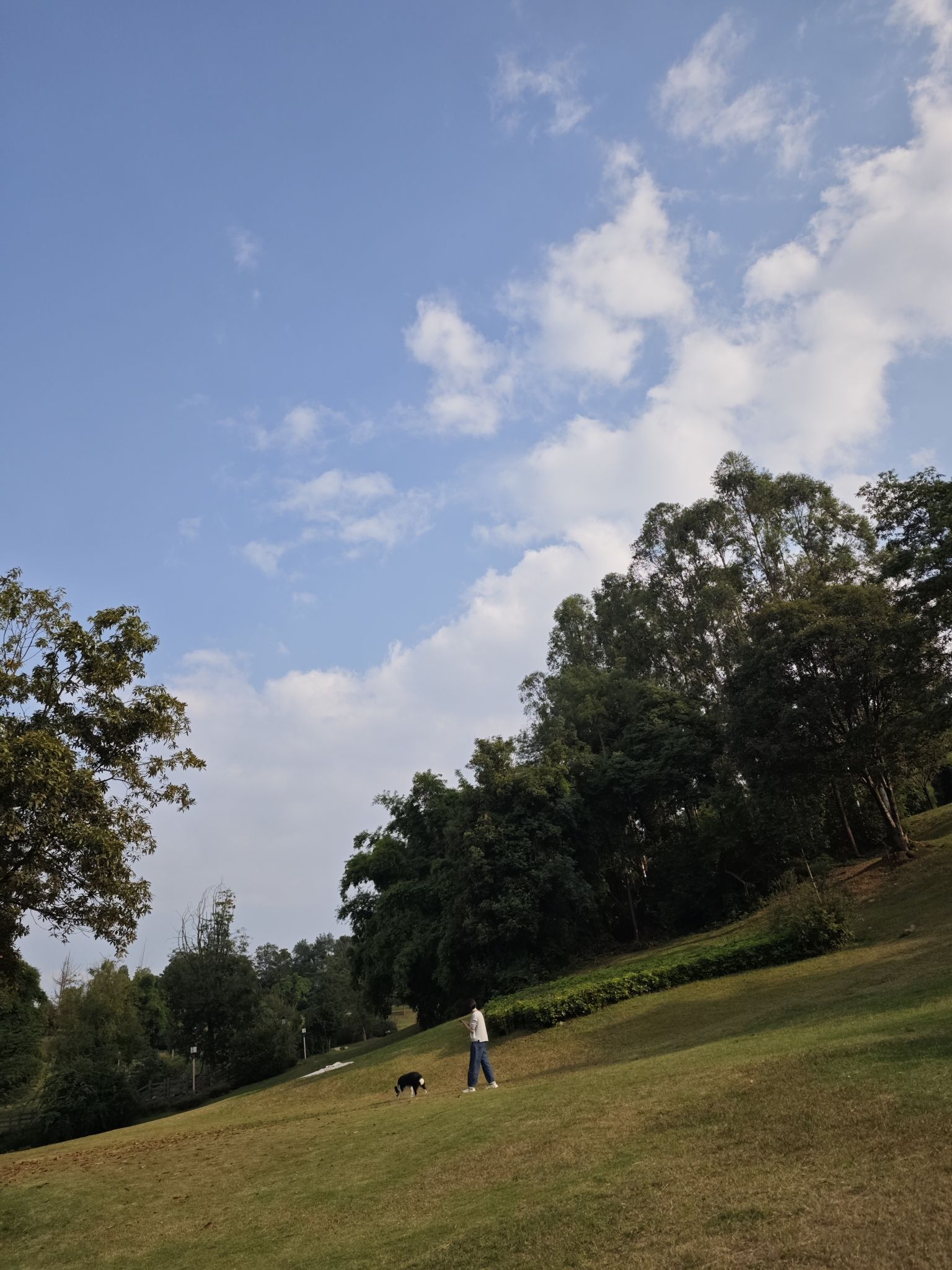 滨江公园旅行图片 2