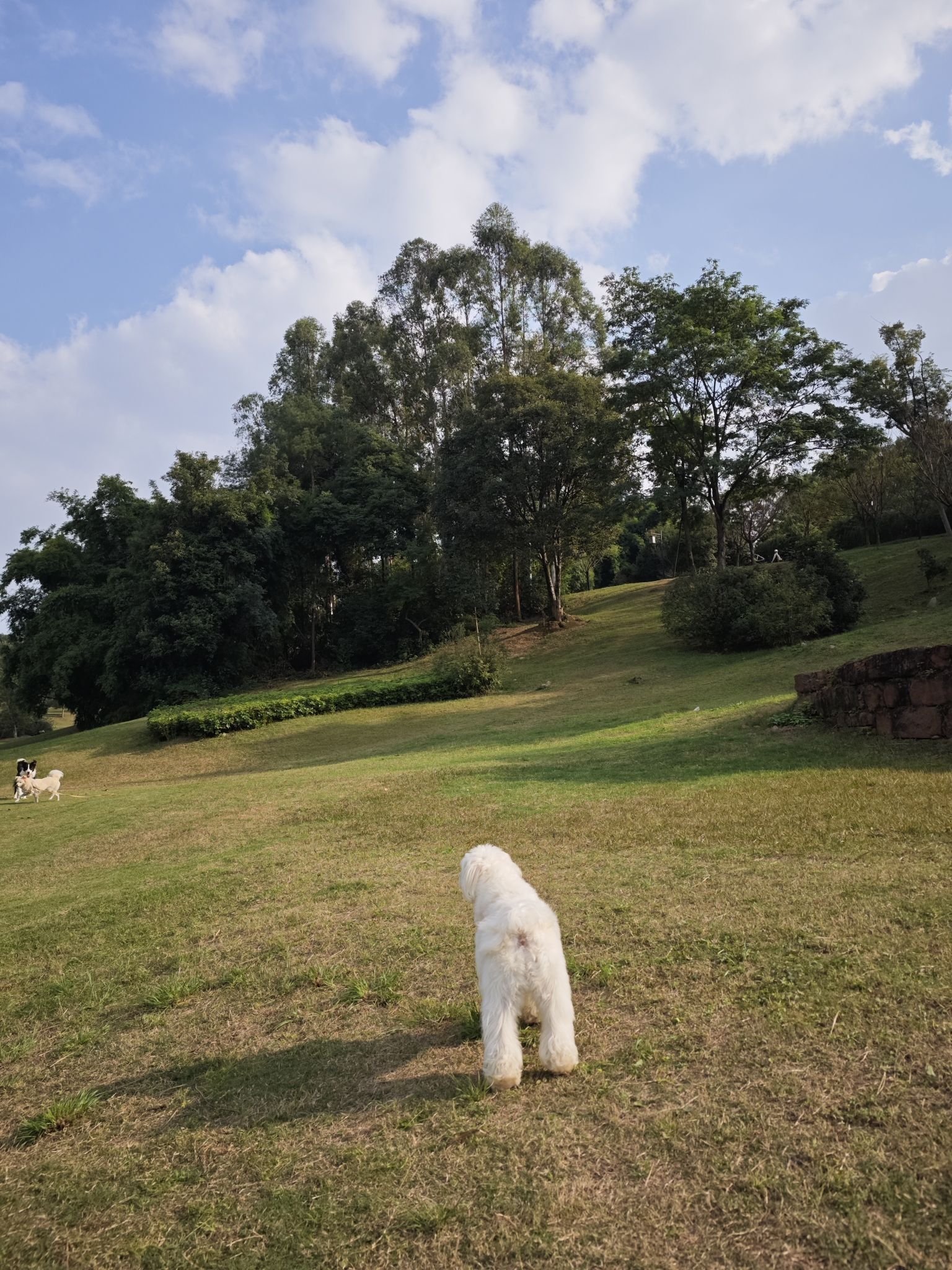 滨江公园旅行图片 3
