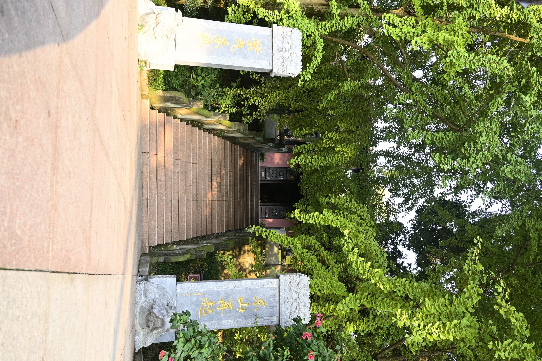 滨江公园旅行图片 3