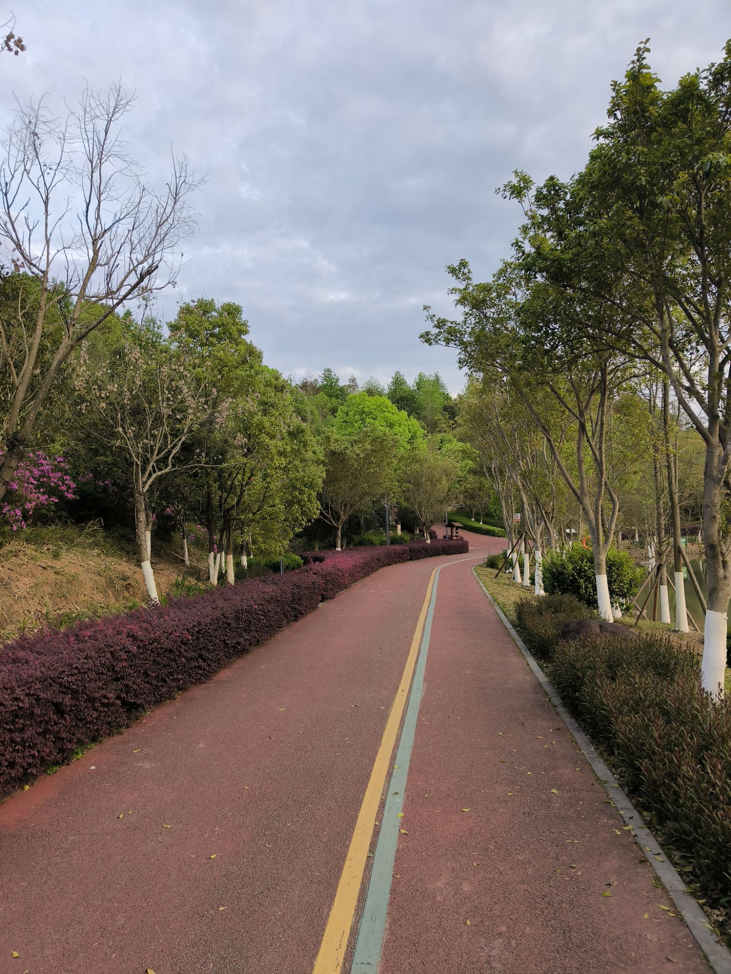 如意湖湿地公园旅行图片 3