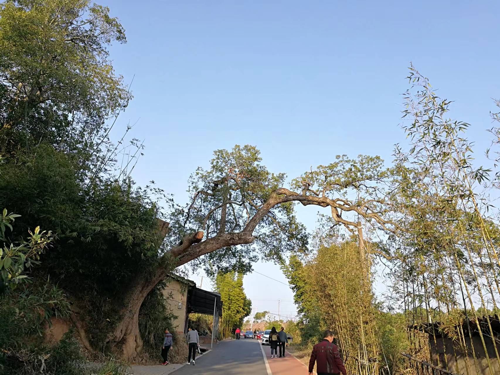 如意湖湿地公园旅行图片 1