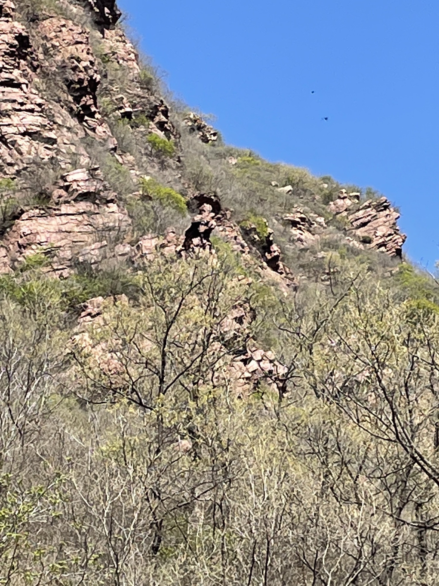挂云山景区旅行图片 1