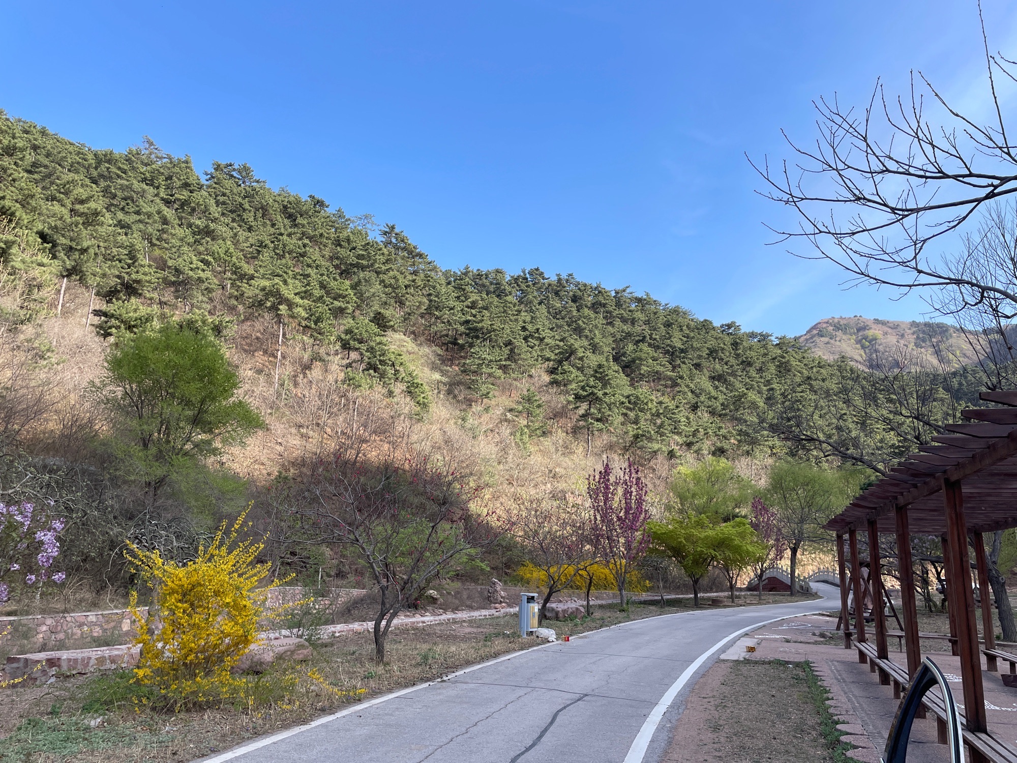 挂云山景区旅行图片 3