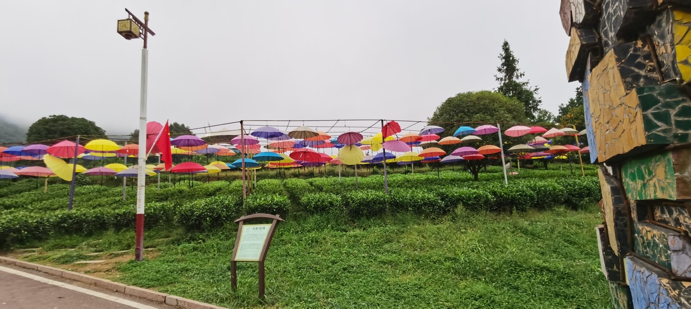 七彩部落旅行图片 2