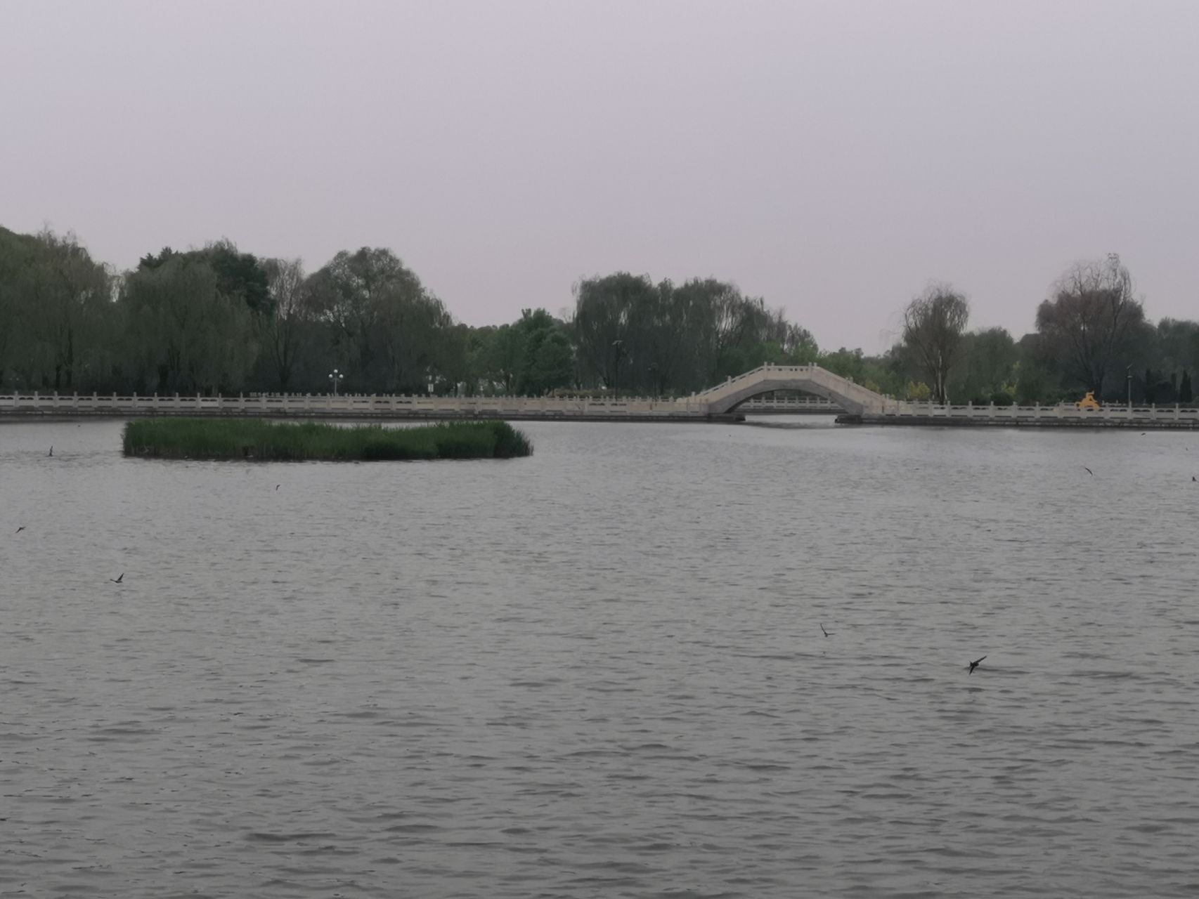 代县滹沱河湿地公园旅行图片 1
