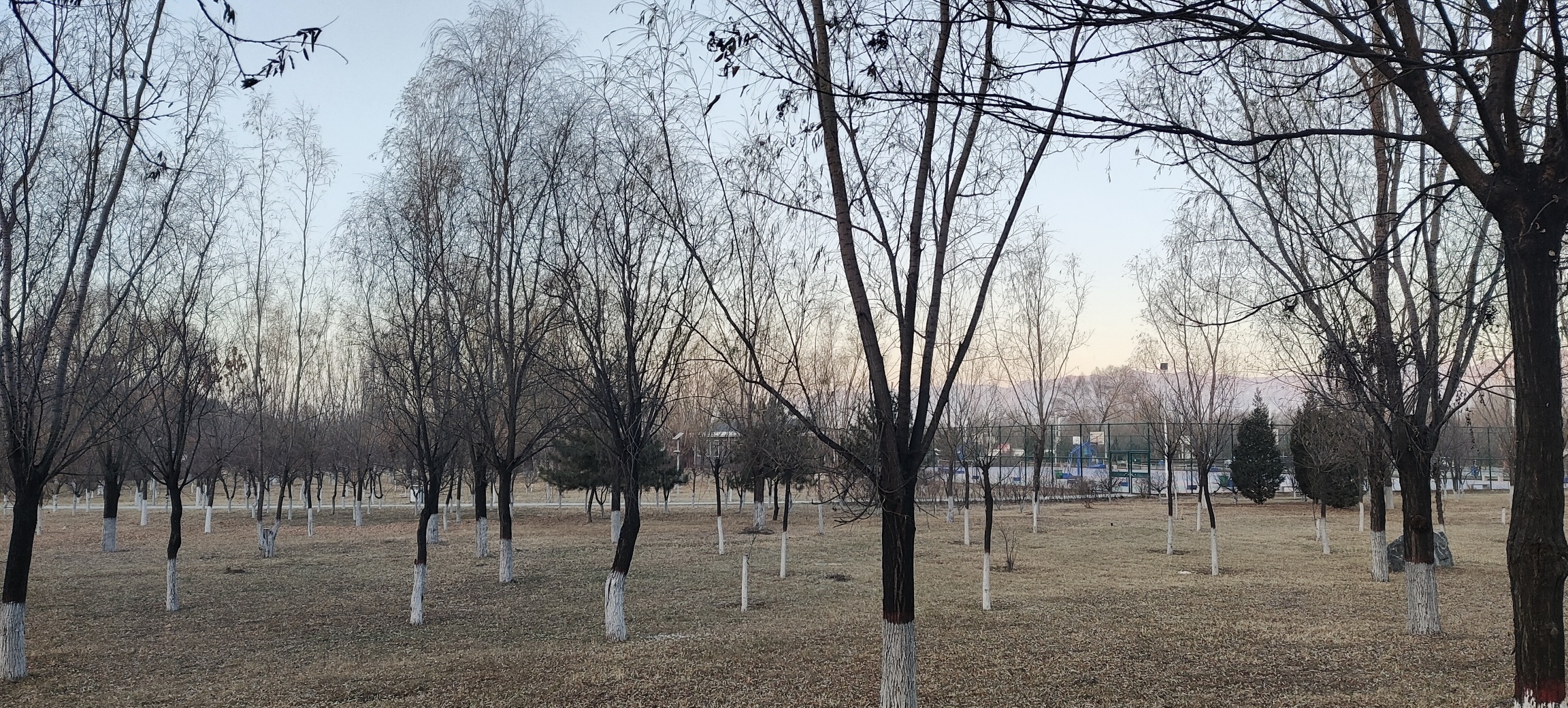 代县滹沱河湿地公园旅行图片 2
