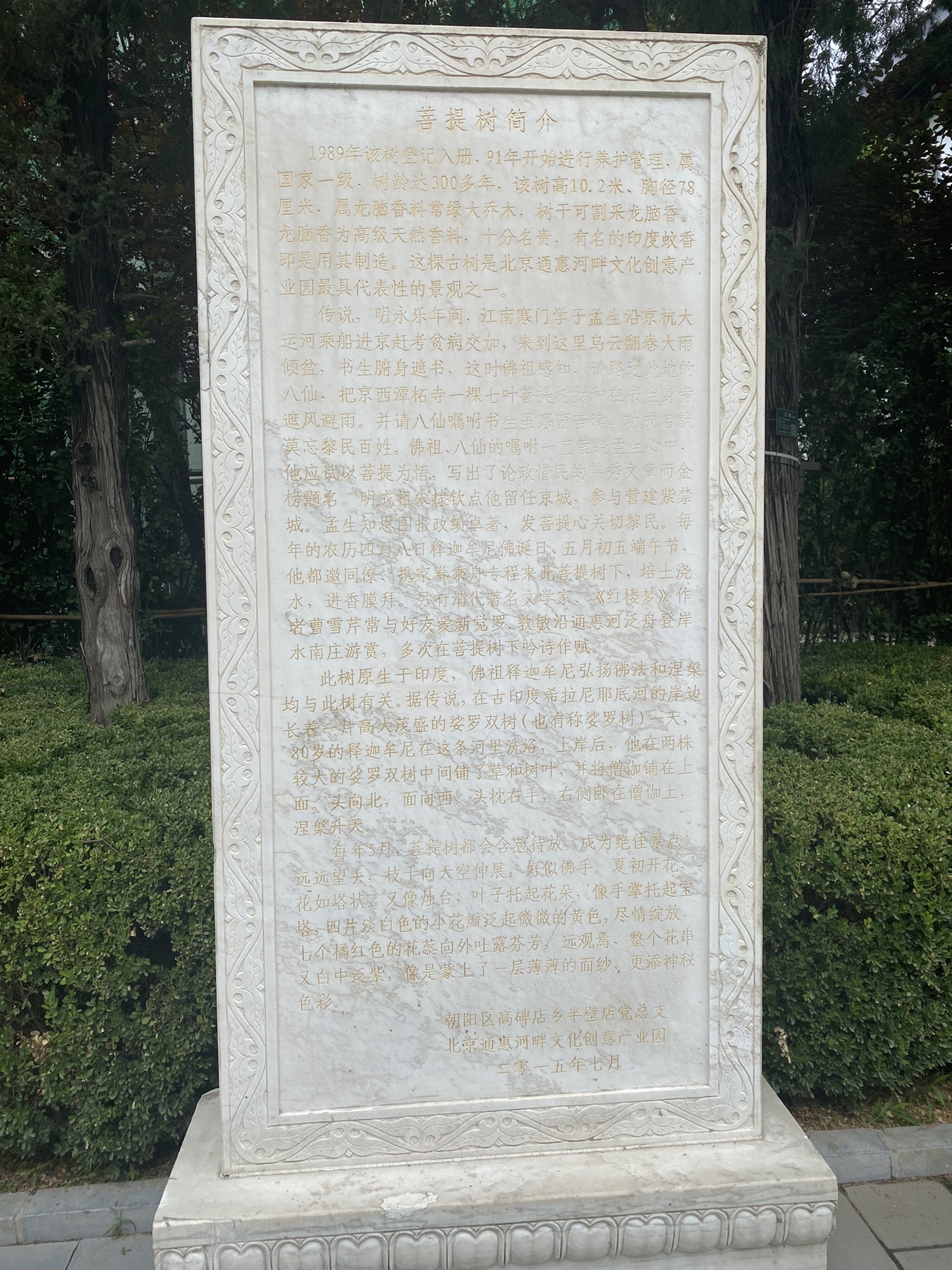 菩提园旅行图片 2