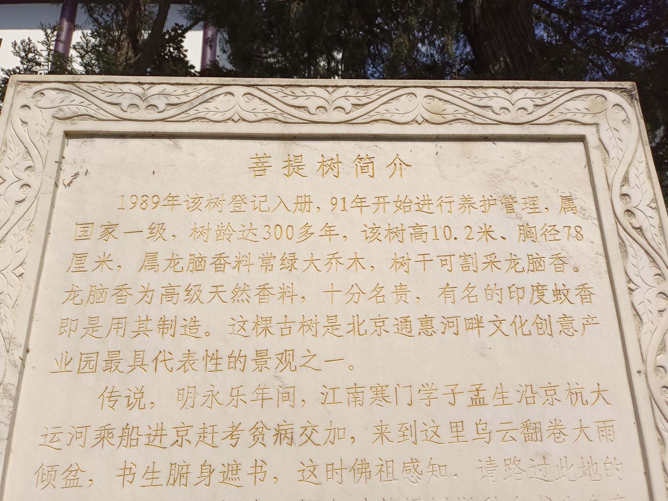 菩提园