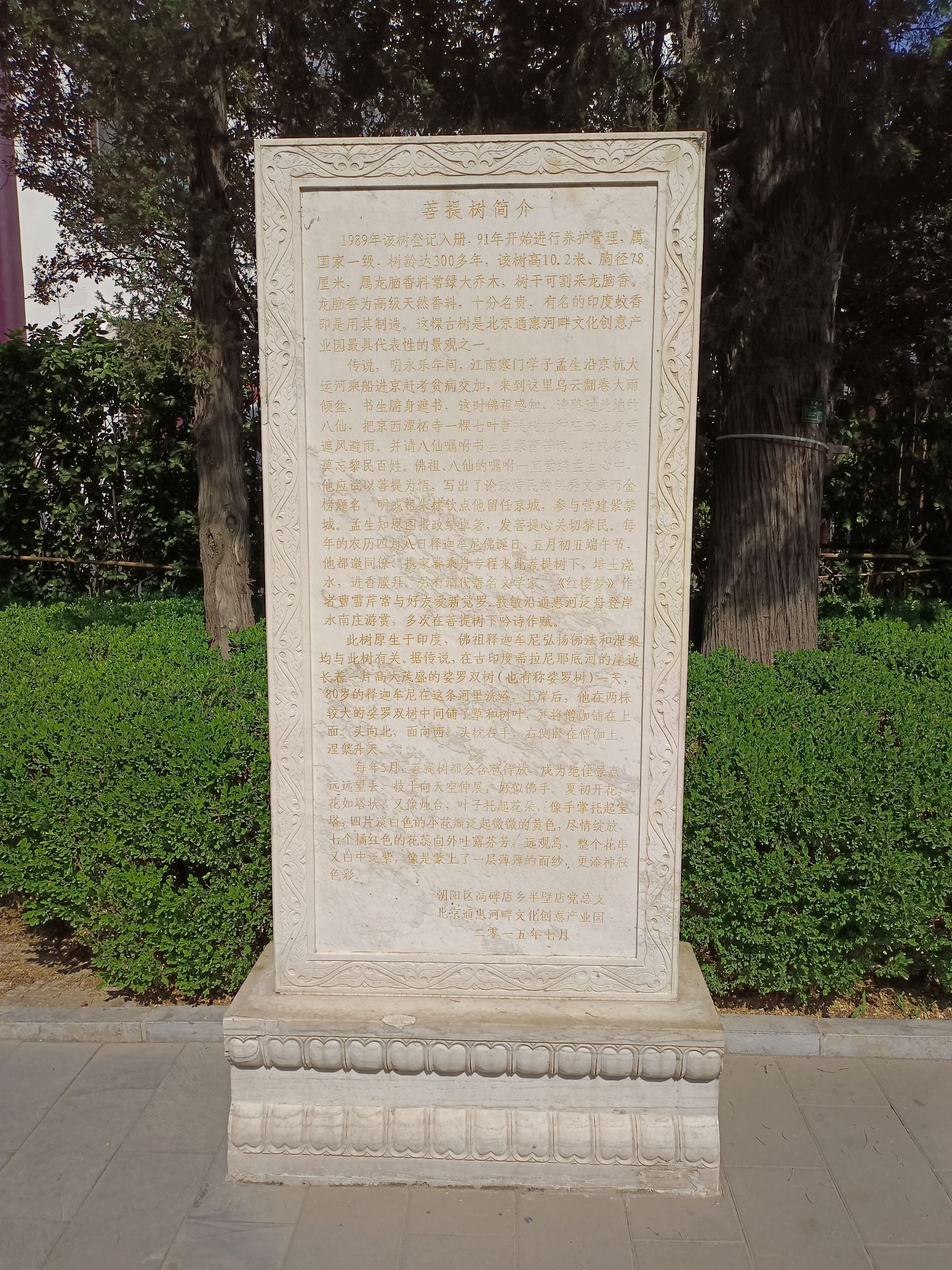 菩提园旅行图片 2