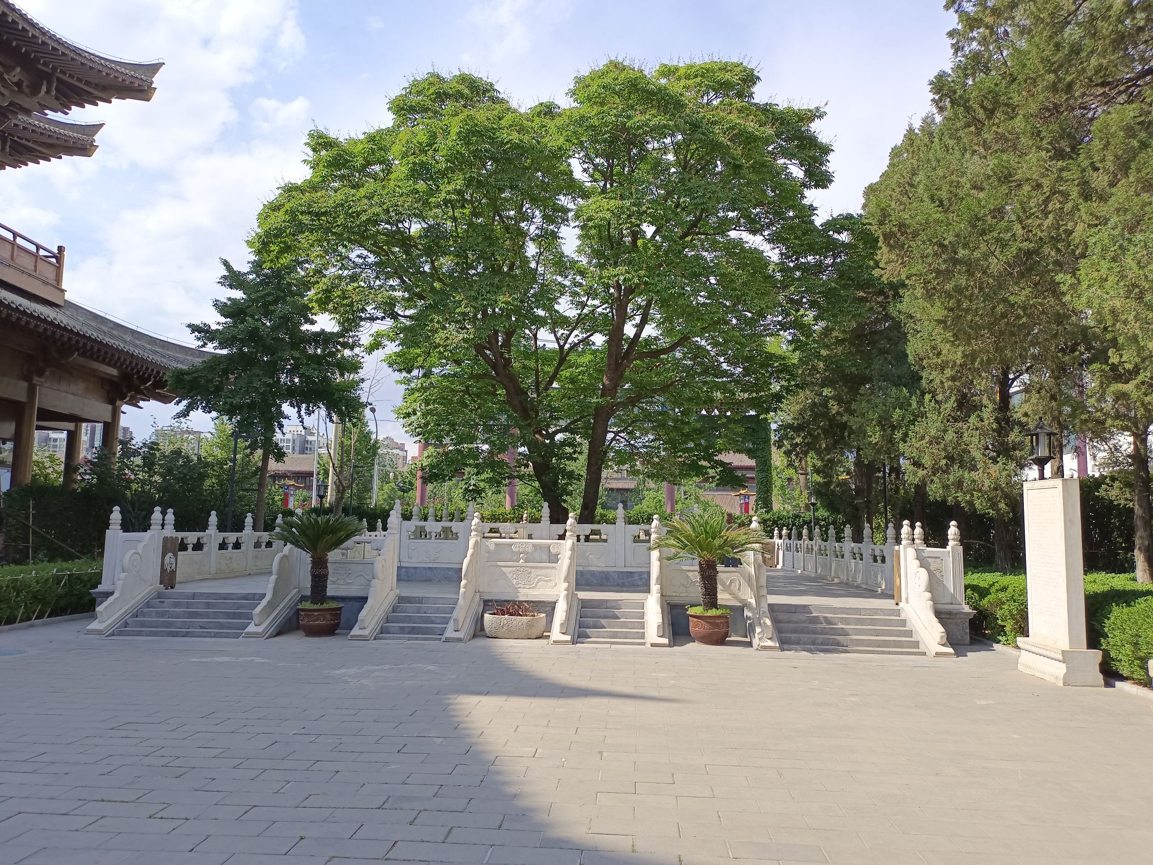 菩提园旅行图片 1