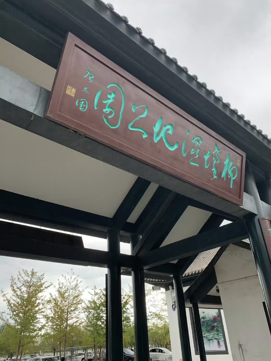 柳壕湿地公园(暂停开放)旅行图片 1