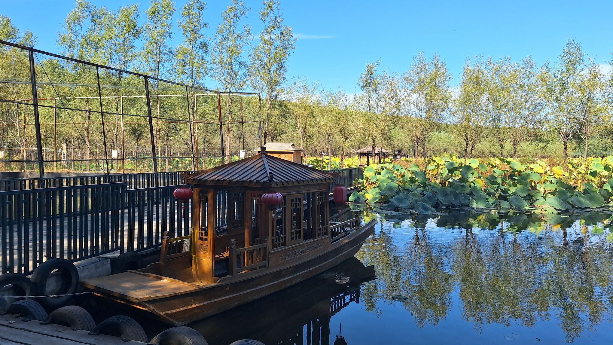 柳壕湿地公园(暂停开放)旅行图片 3