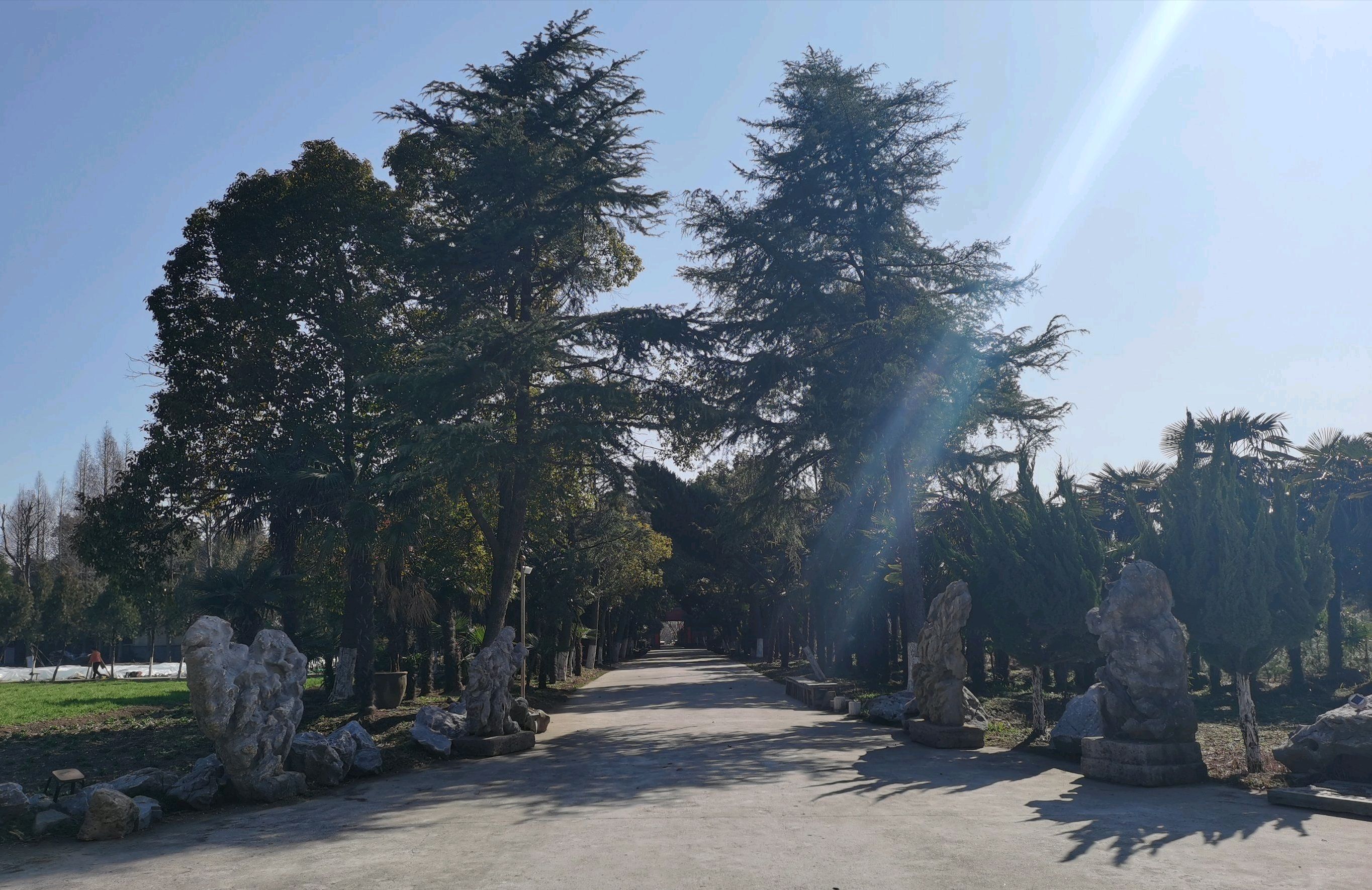 扬子津古渡体育休闲公园旅行图片 1