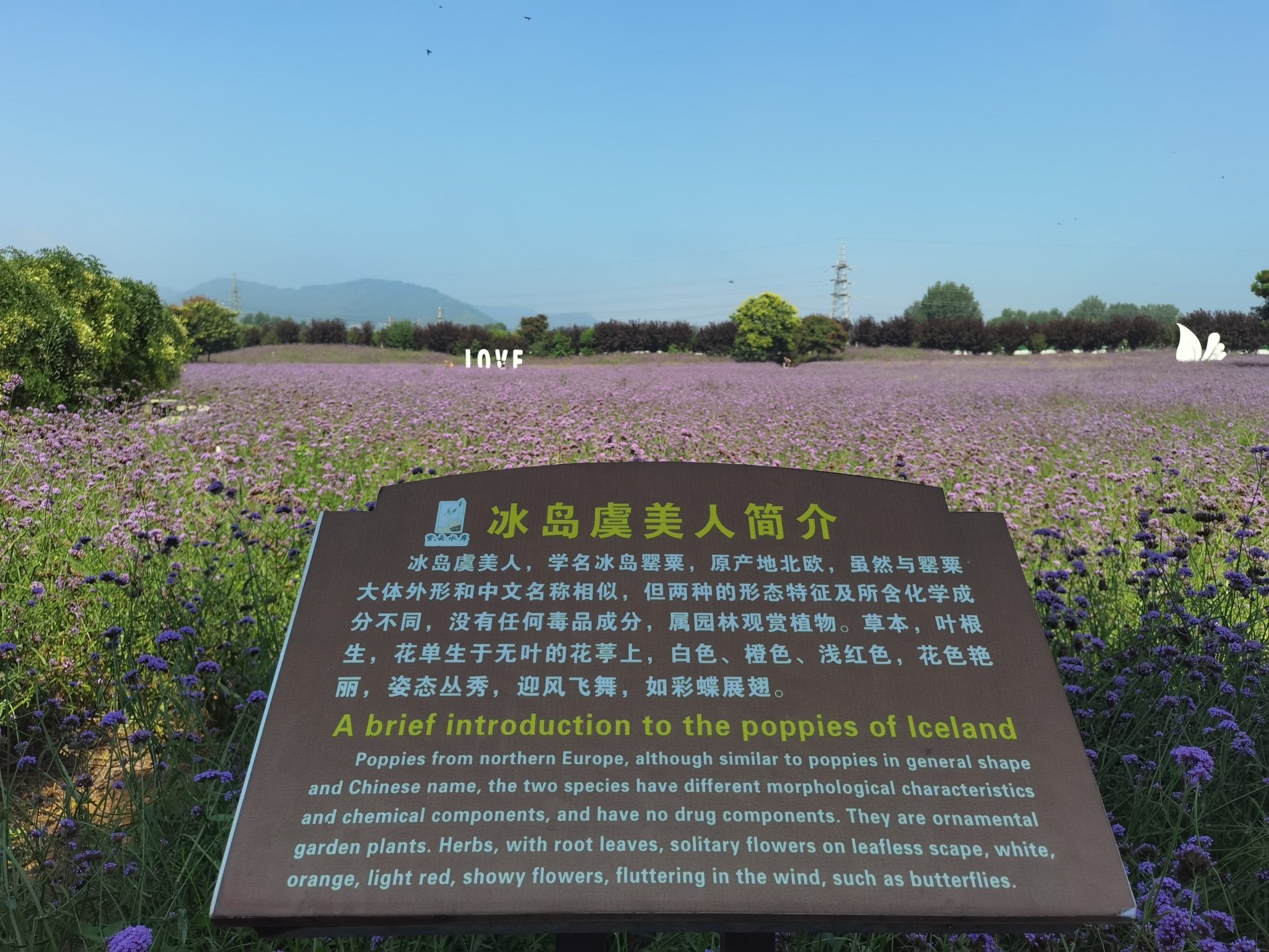 紫云水岸香草园旅行图片 2