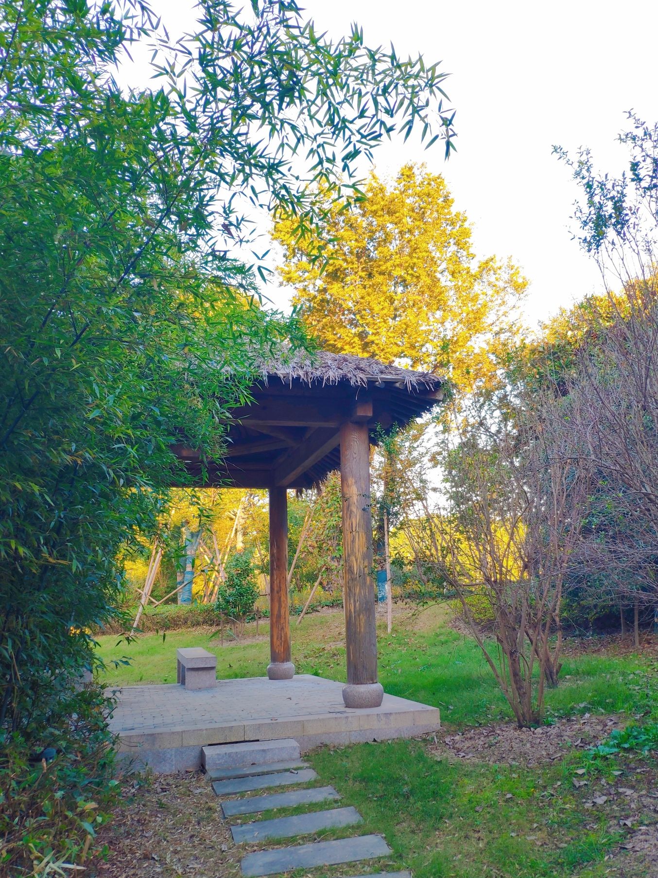 马桥古文化遗址公园旅行图片 2