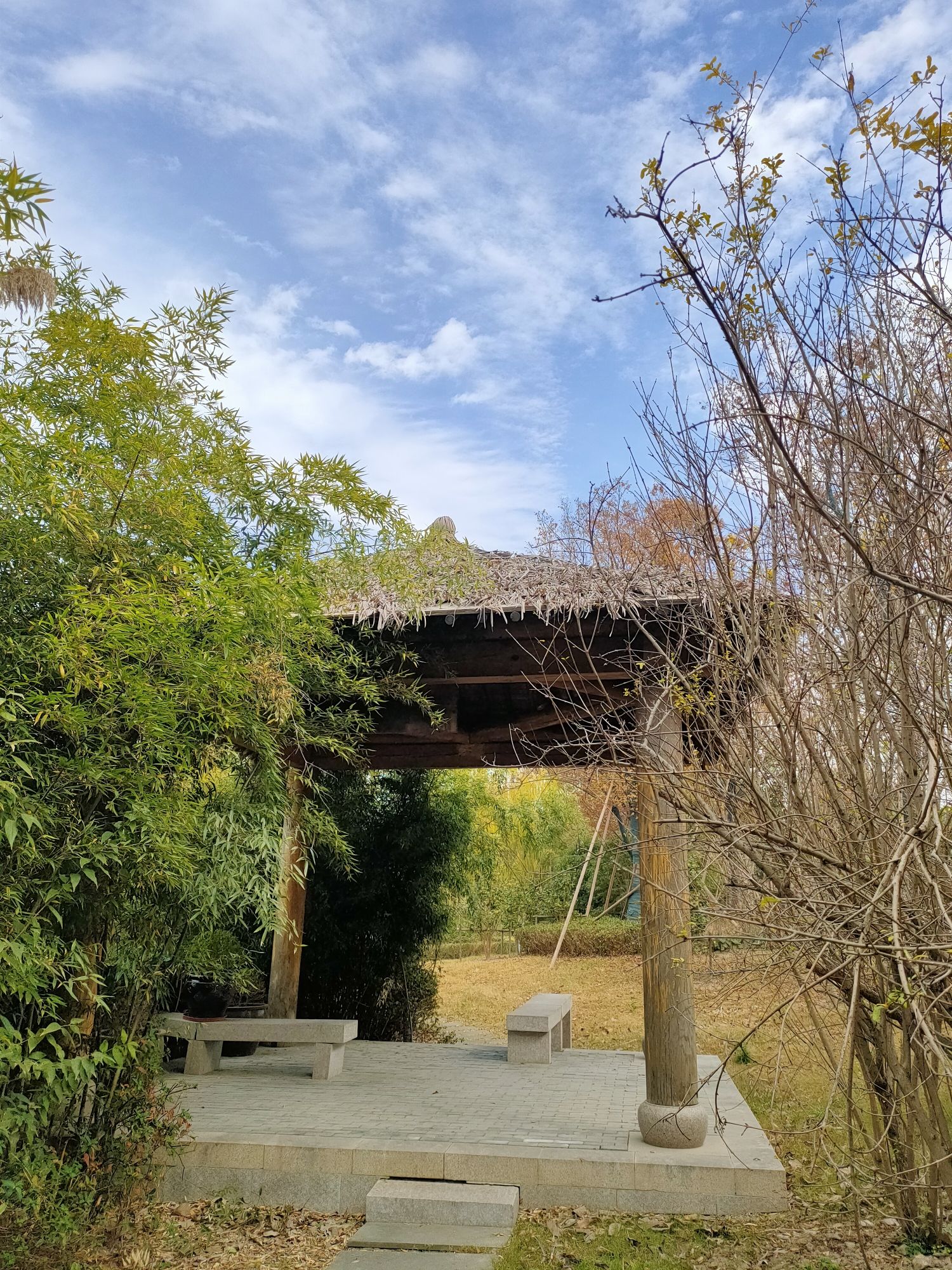 马桥古文化遗址公园旅行图片 3