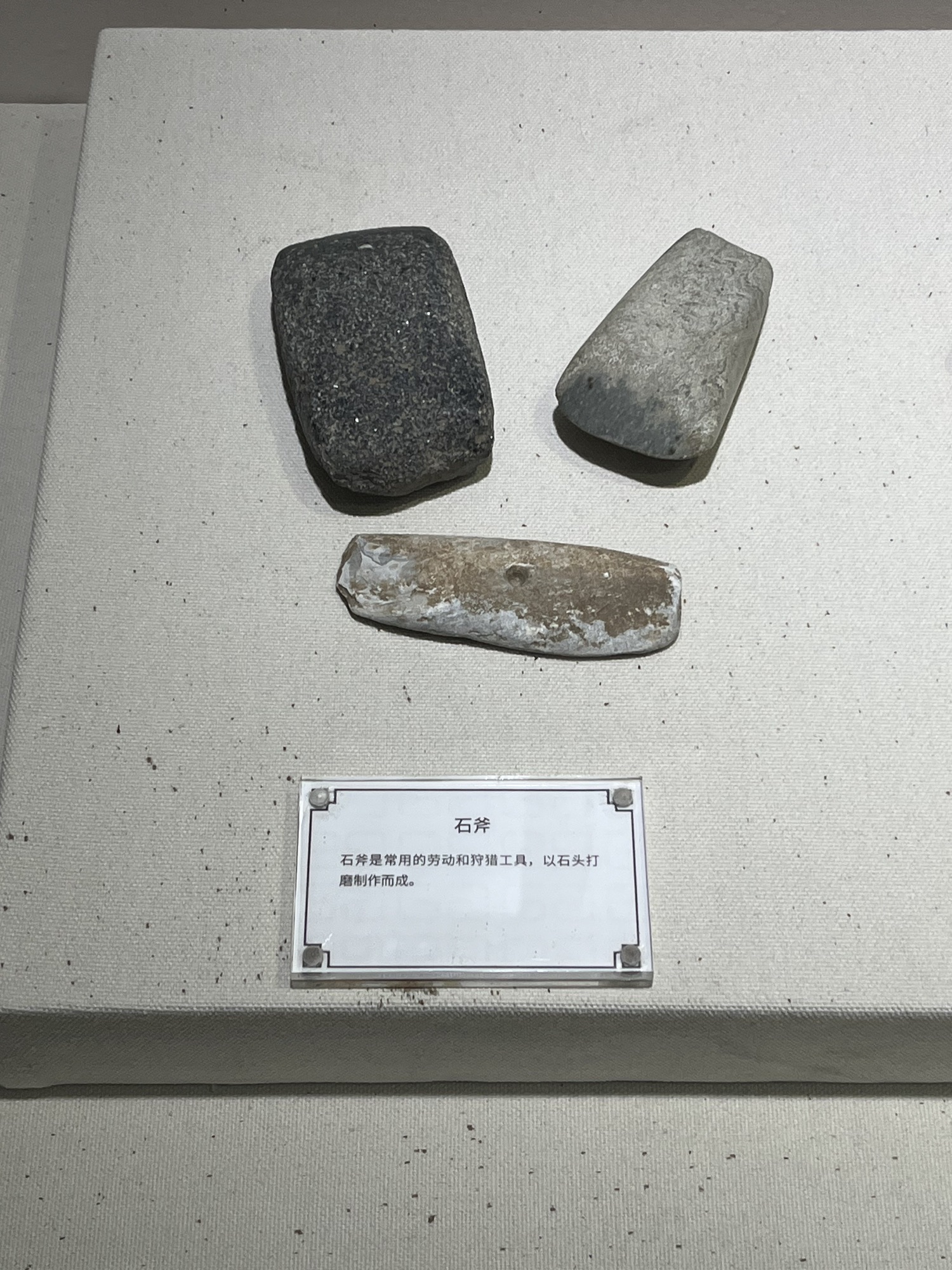 马桥古文化遗址公园旅行图片 3