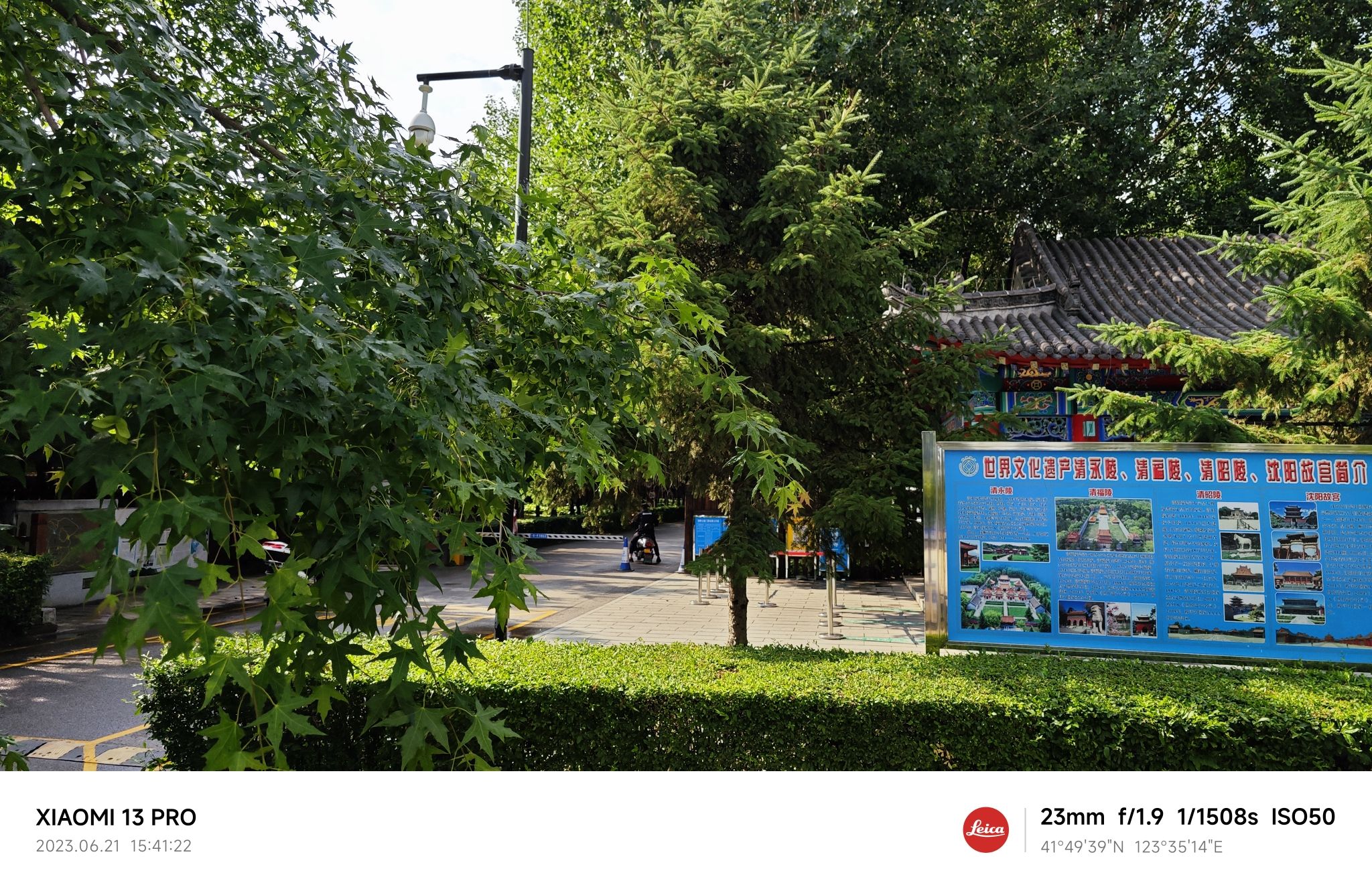 东陵-郊野公园旅行图片 2