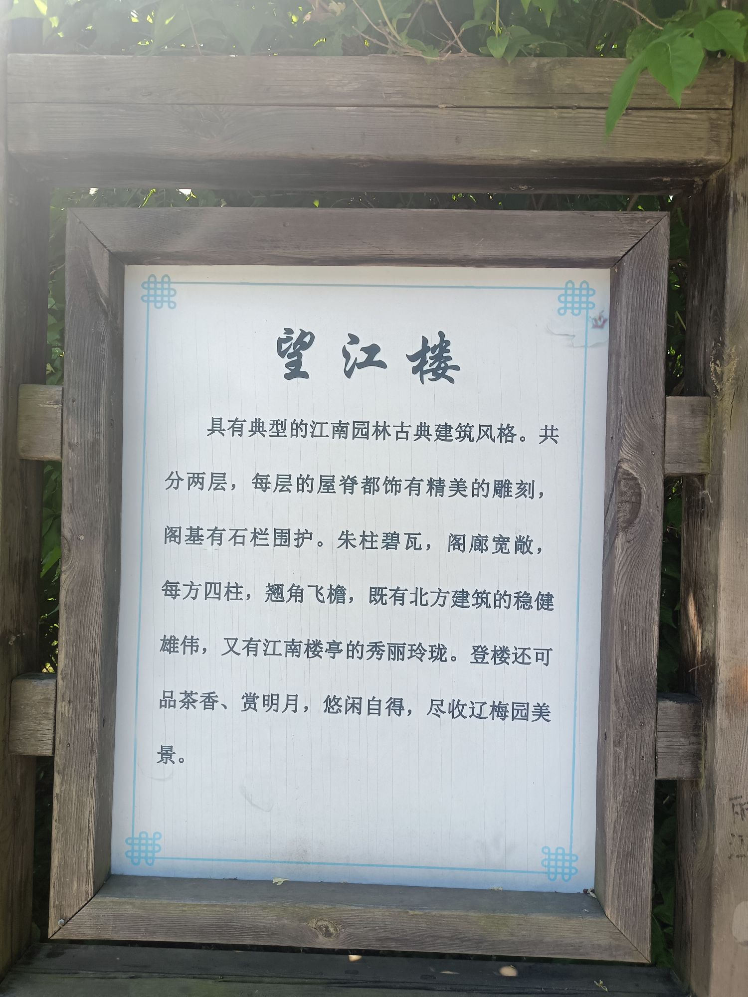 东陵-郊野公园旅行图片 1