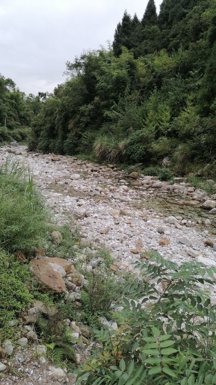 白鹤大峡谷旅行图片 1