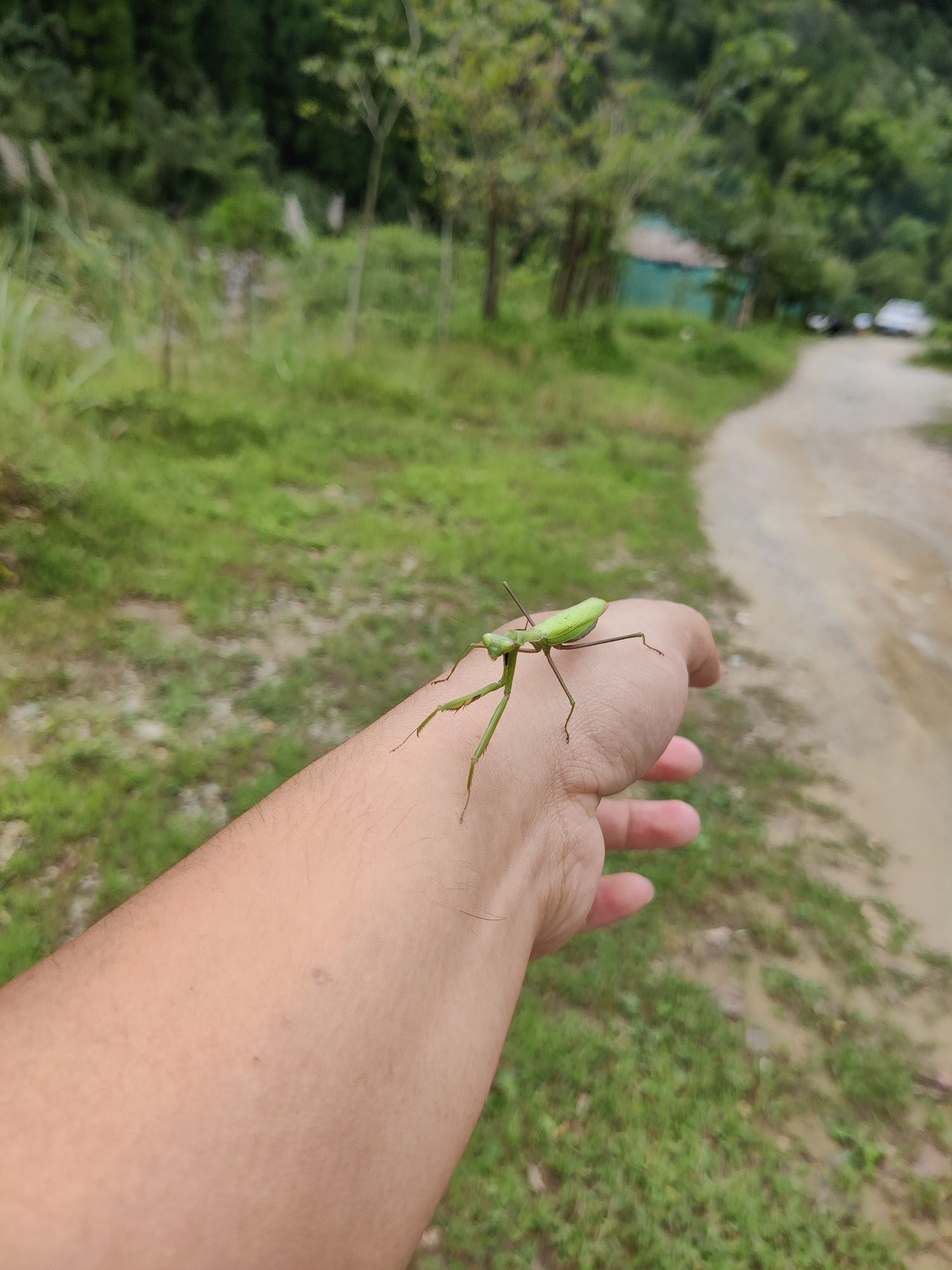 白鹤大峡谷旅行图片 3