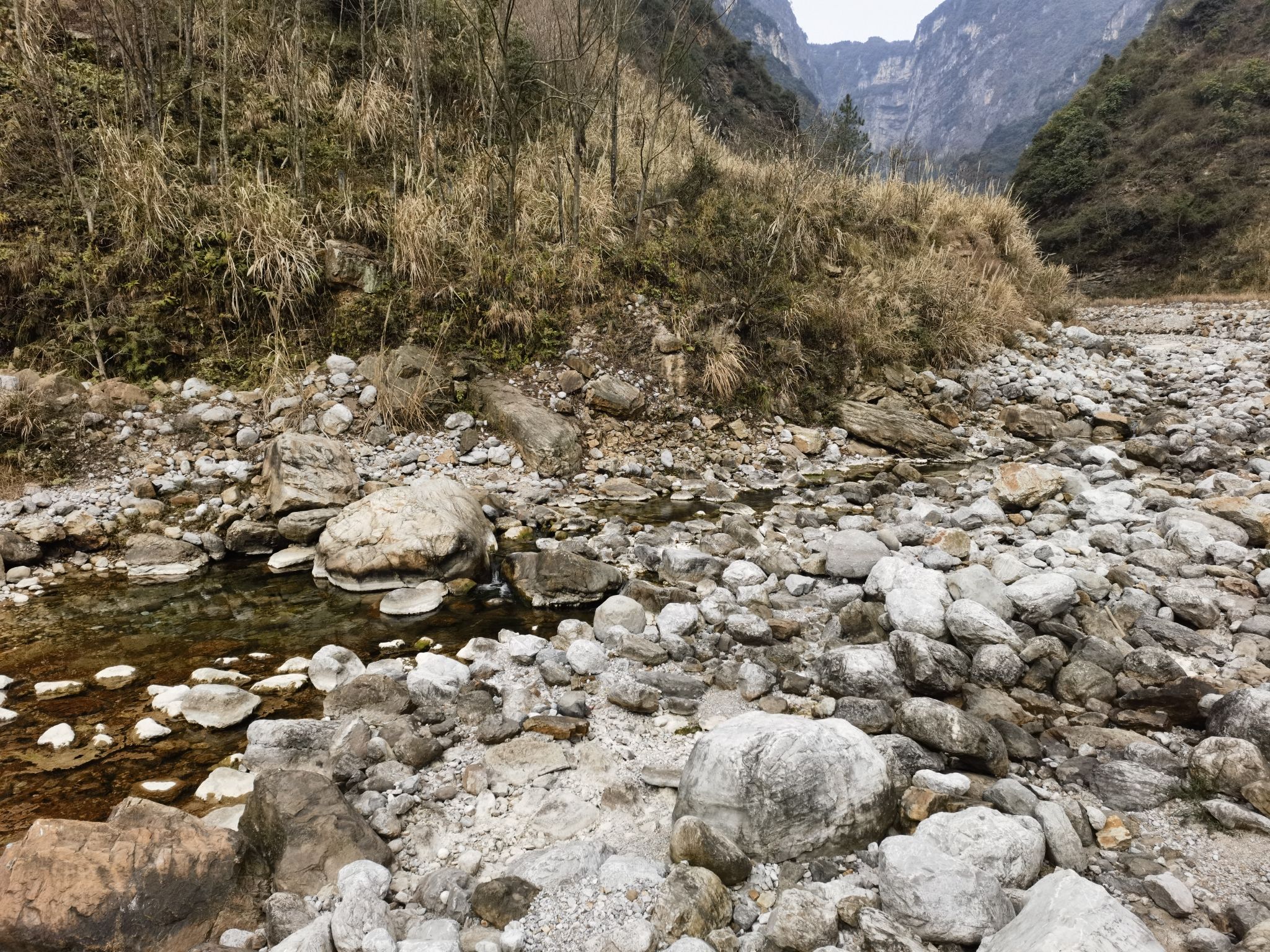 白鹤大峡谷旅行图片 2