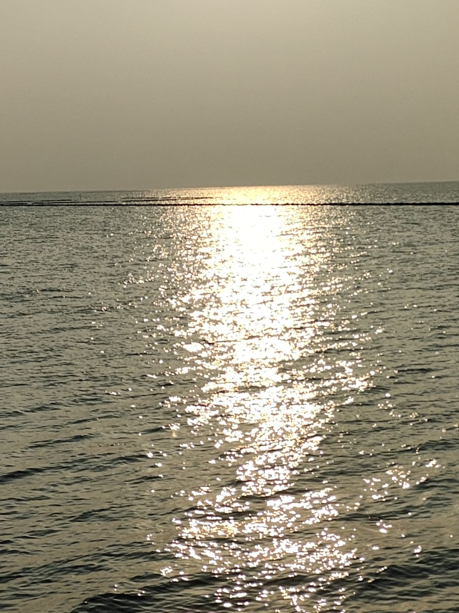 七都湿地公园旅行图片 3