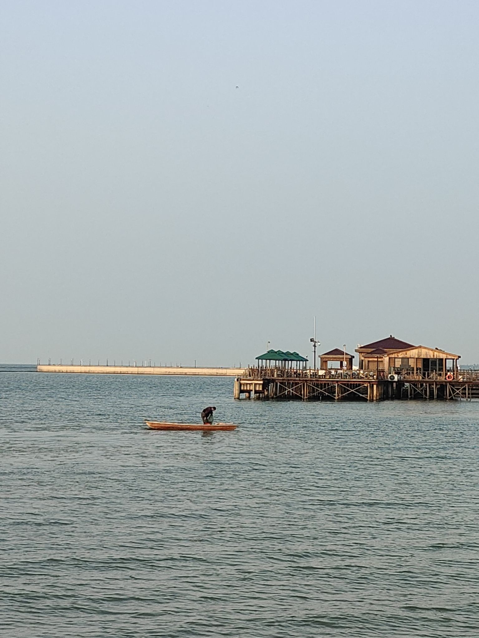 七都湿地公园旅行图片 1