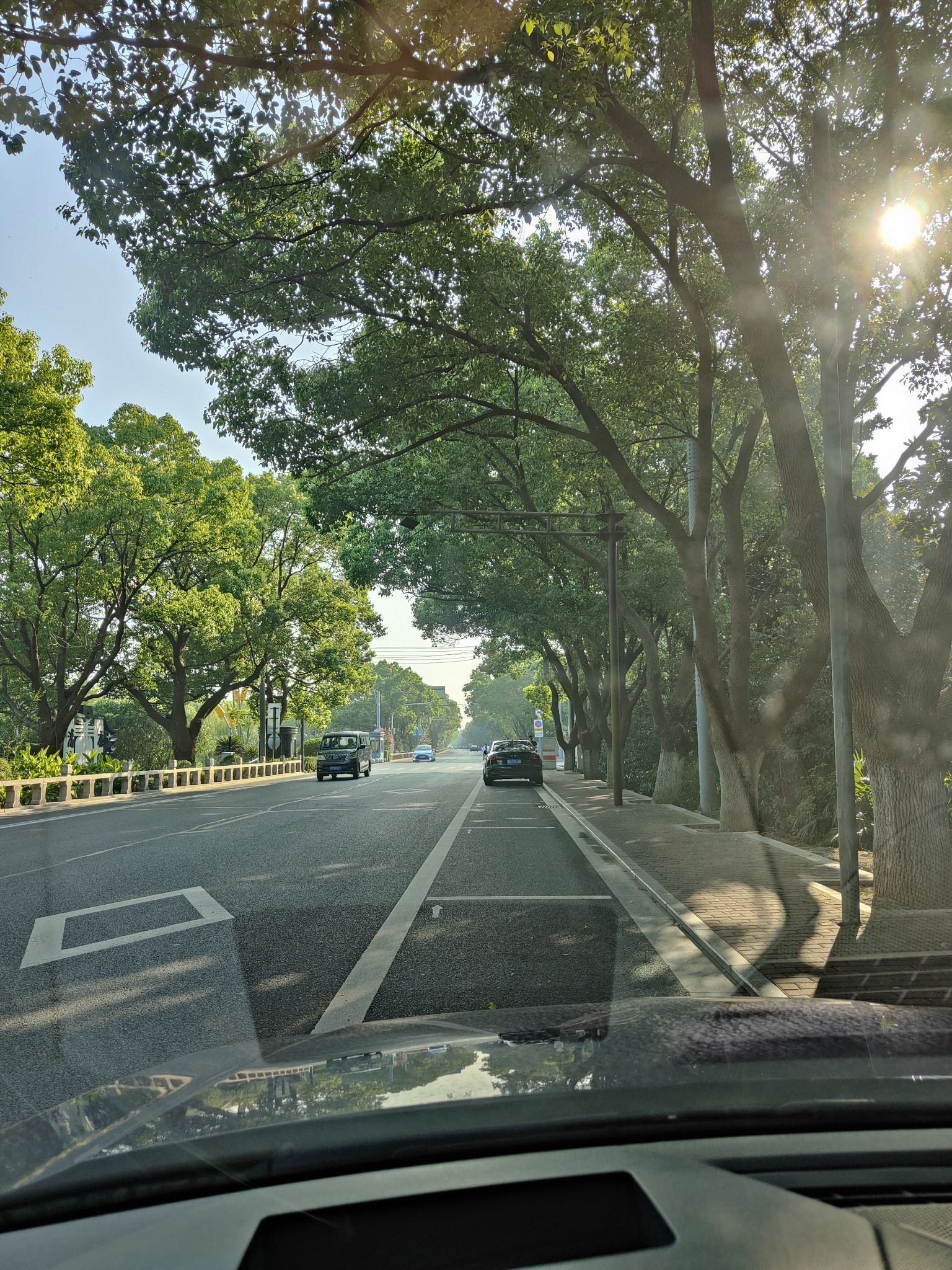 七都湿地公园旅行图片 2