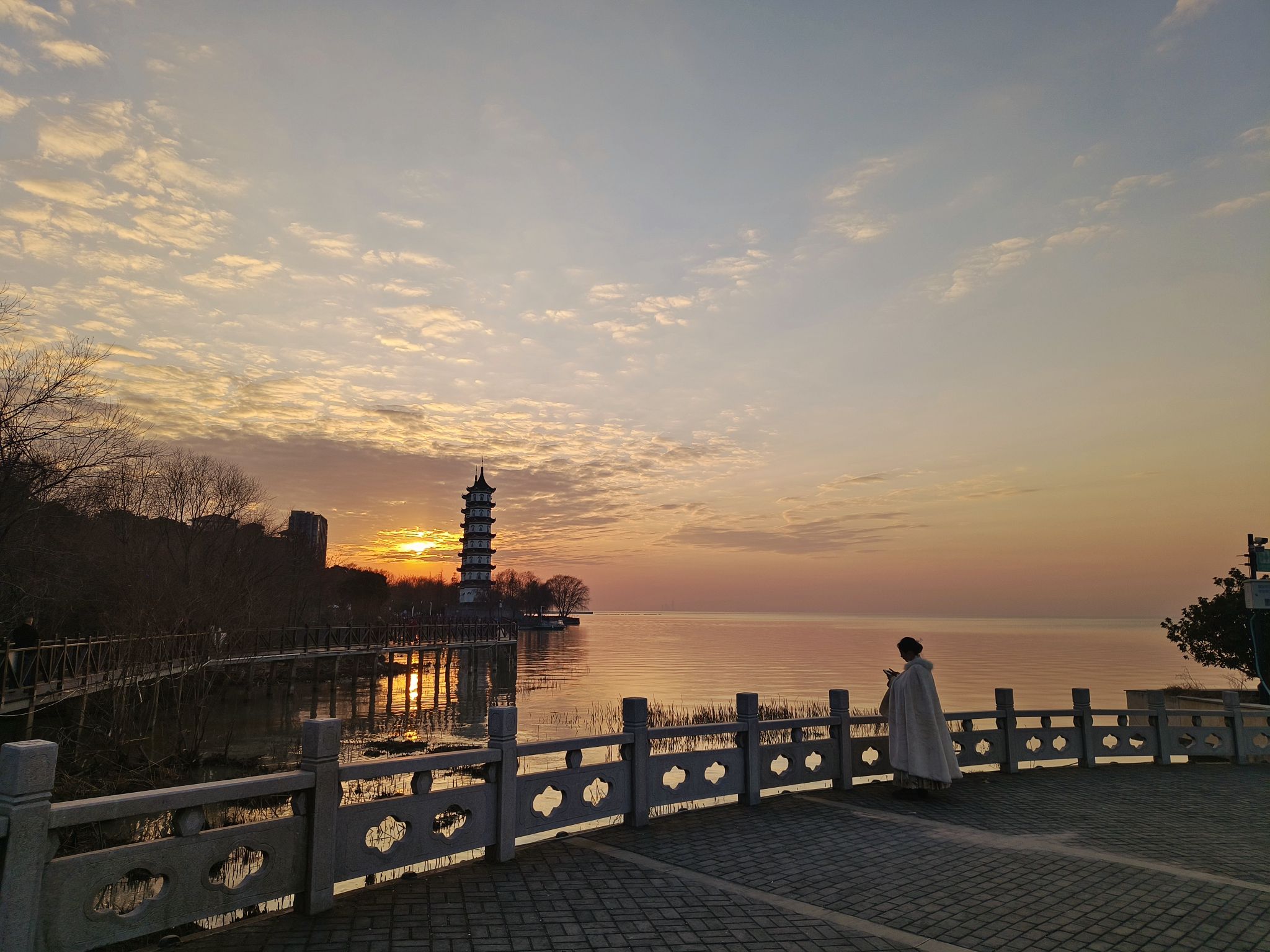 七都湿地公园旅行图片 2