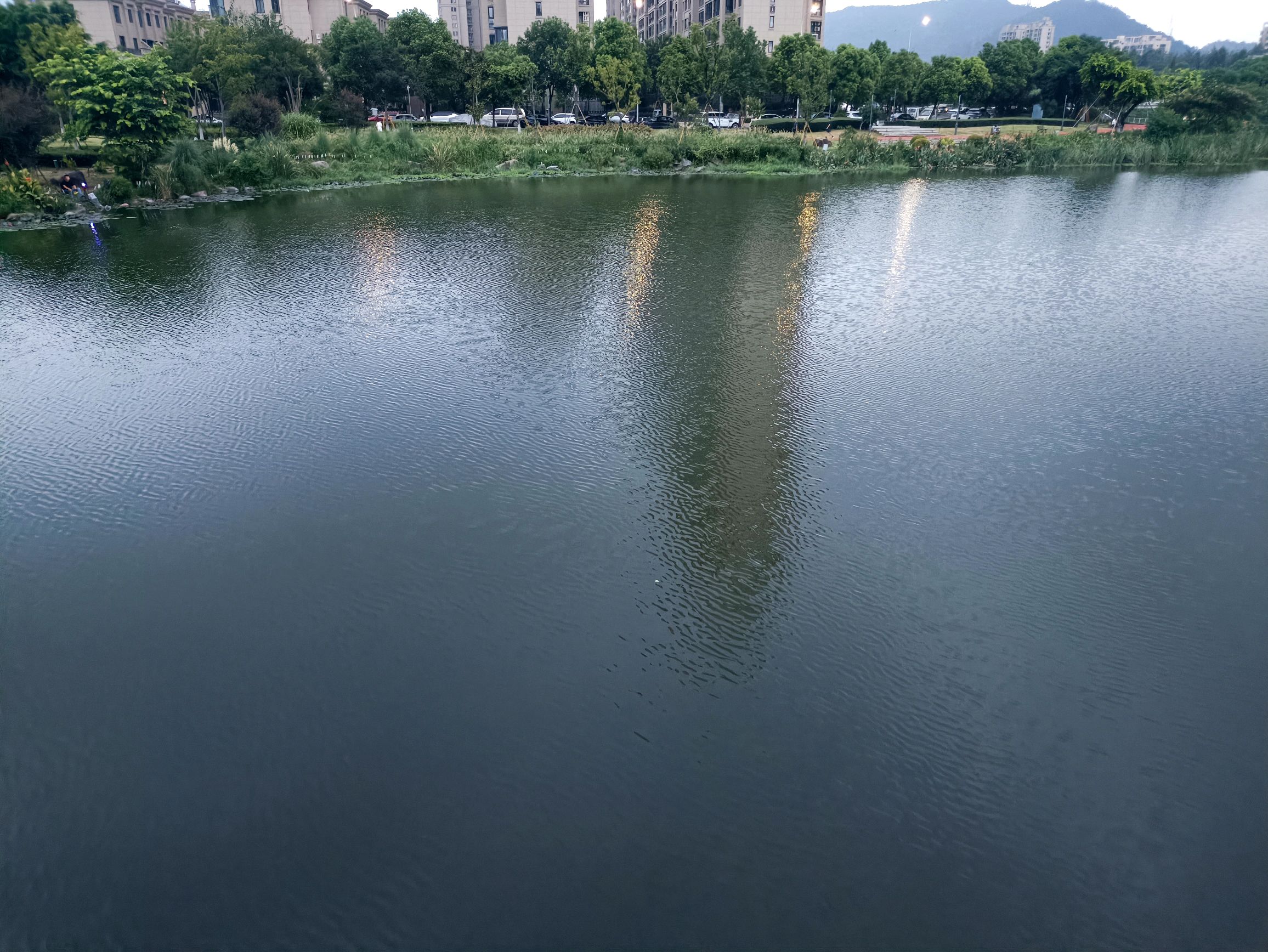 南洋公园旅行图片 1