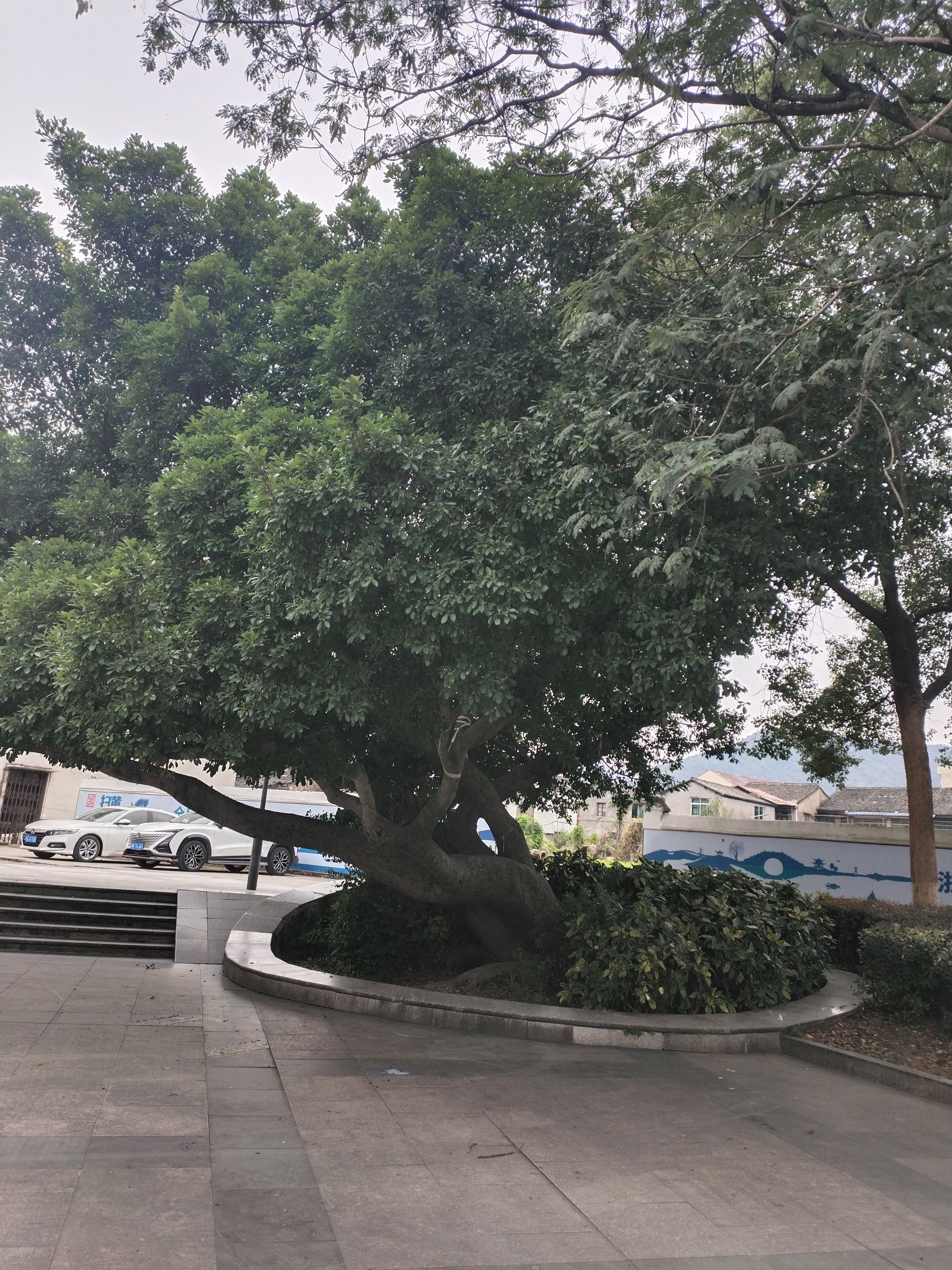 温东公园旅行图片 2