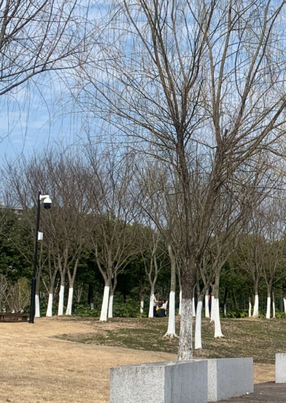 迎宾公园旅行图片 2