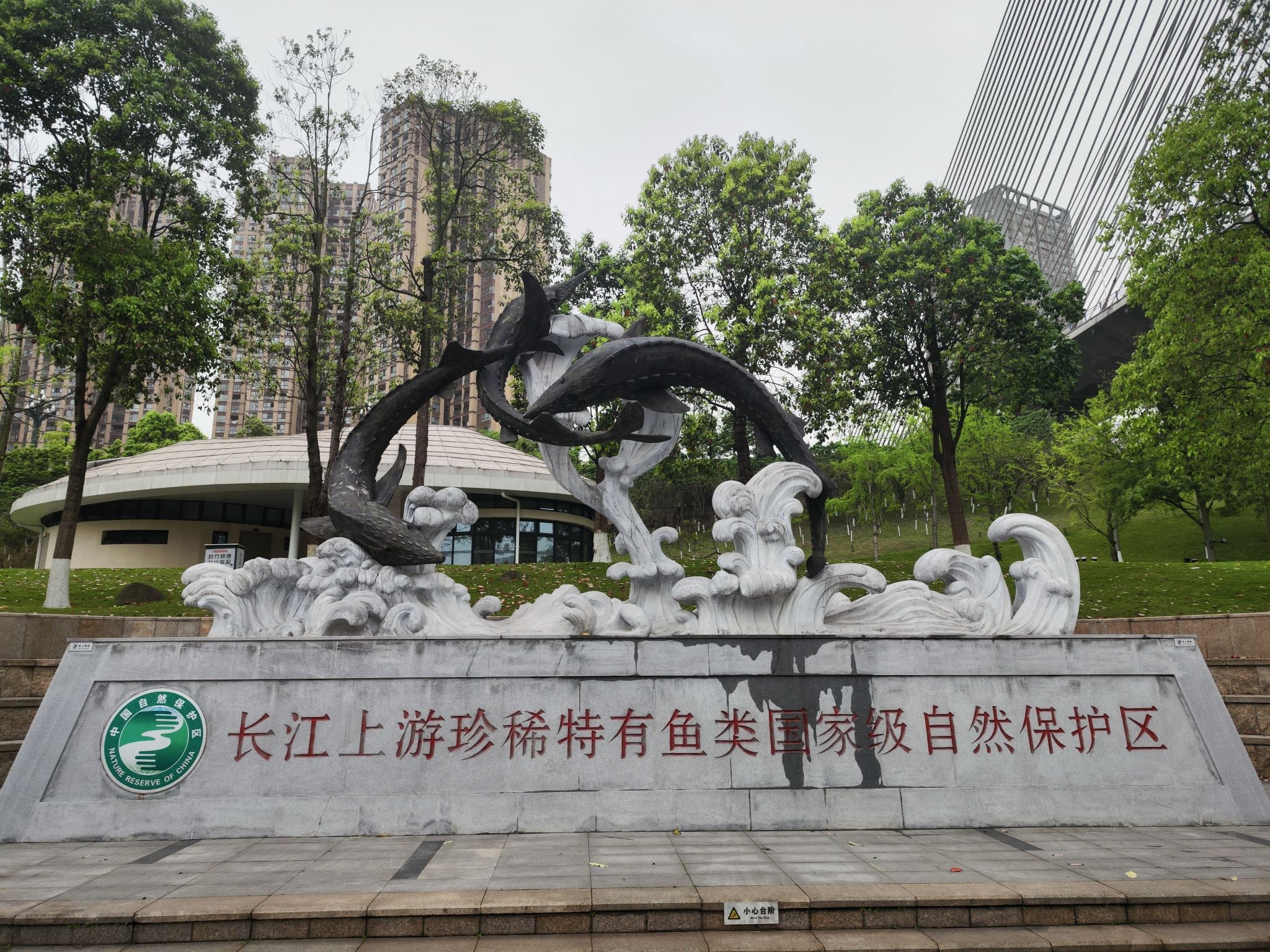 长江公园景点图片