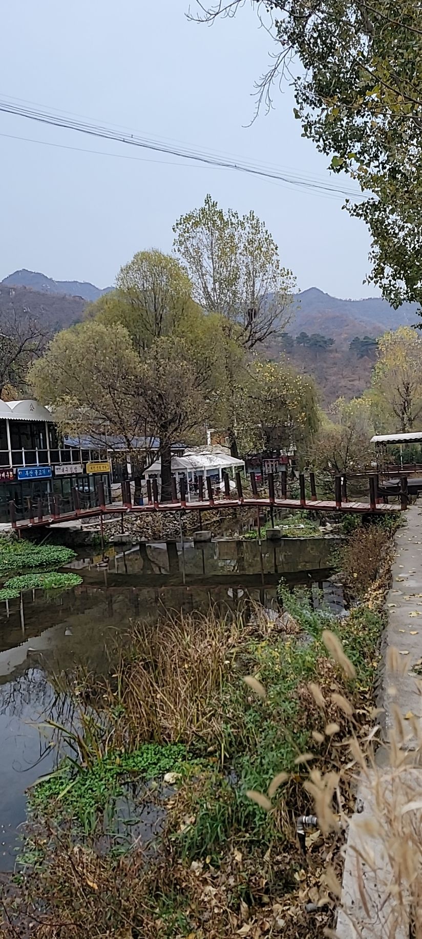 猫耳山风景区旅行图片 2