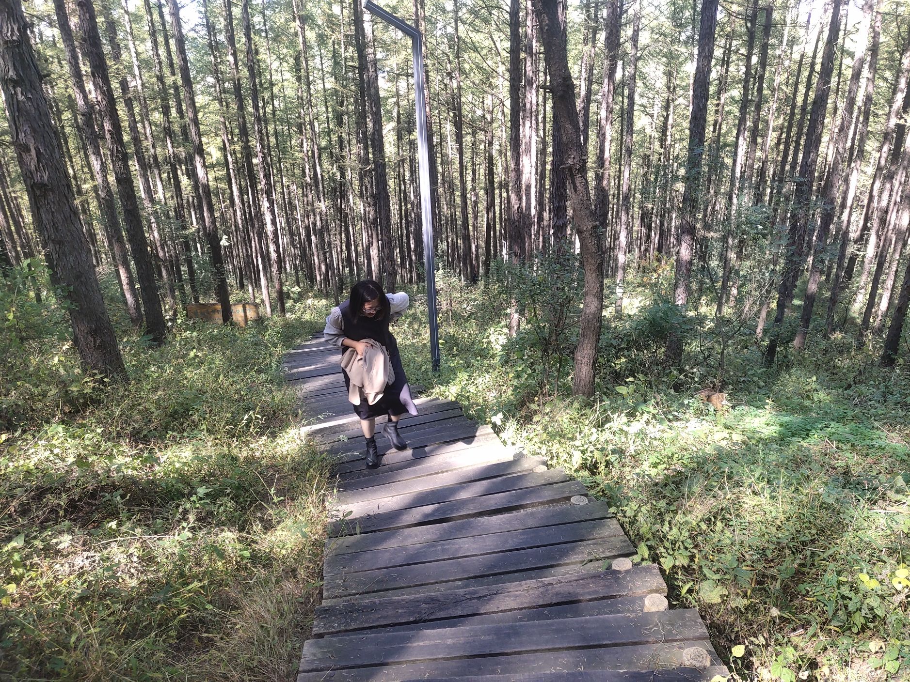 南山公园旅行图片 2