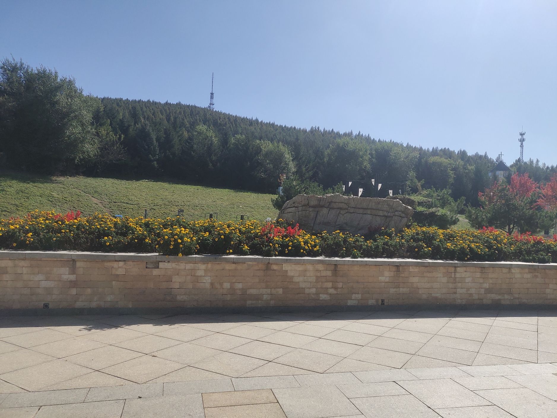 南山公园旅行图片 1